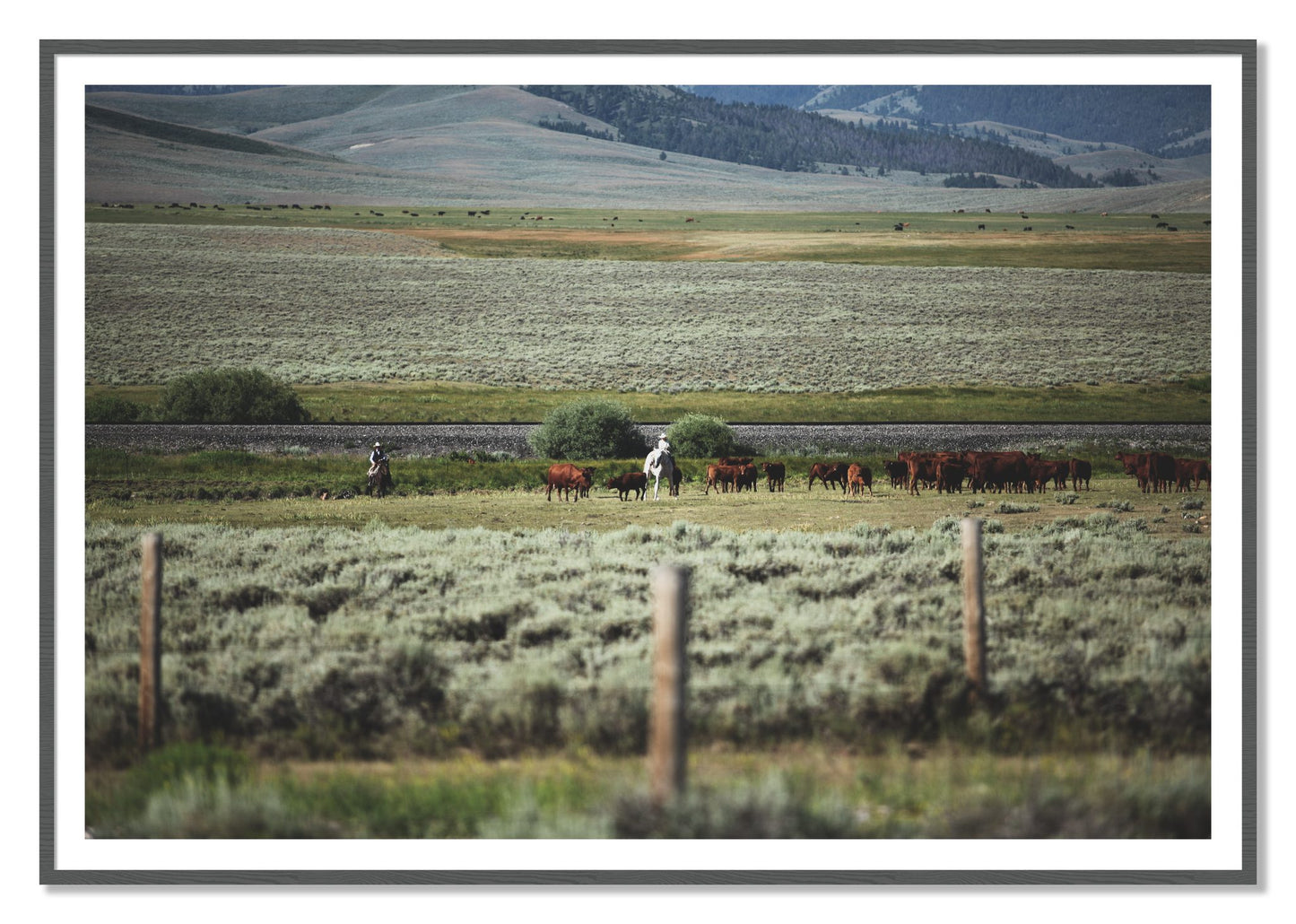 Montana by Dylan Ozanich, 48×72 print with a White Border in a Grey frame