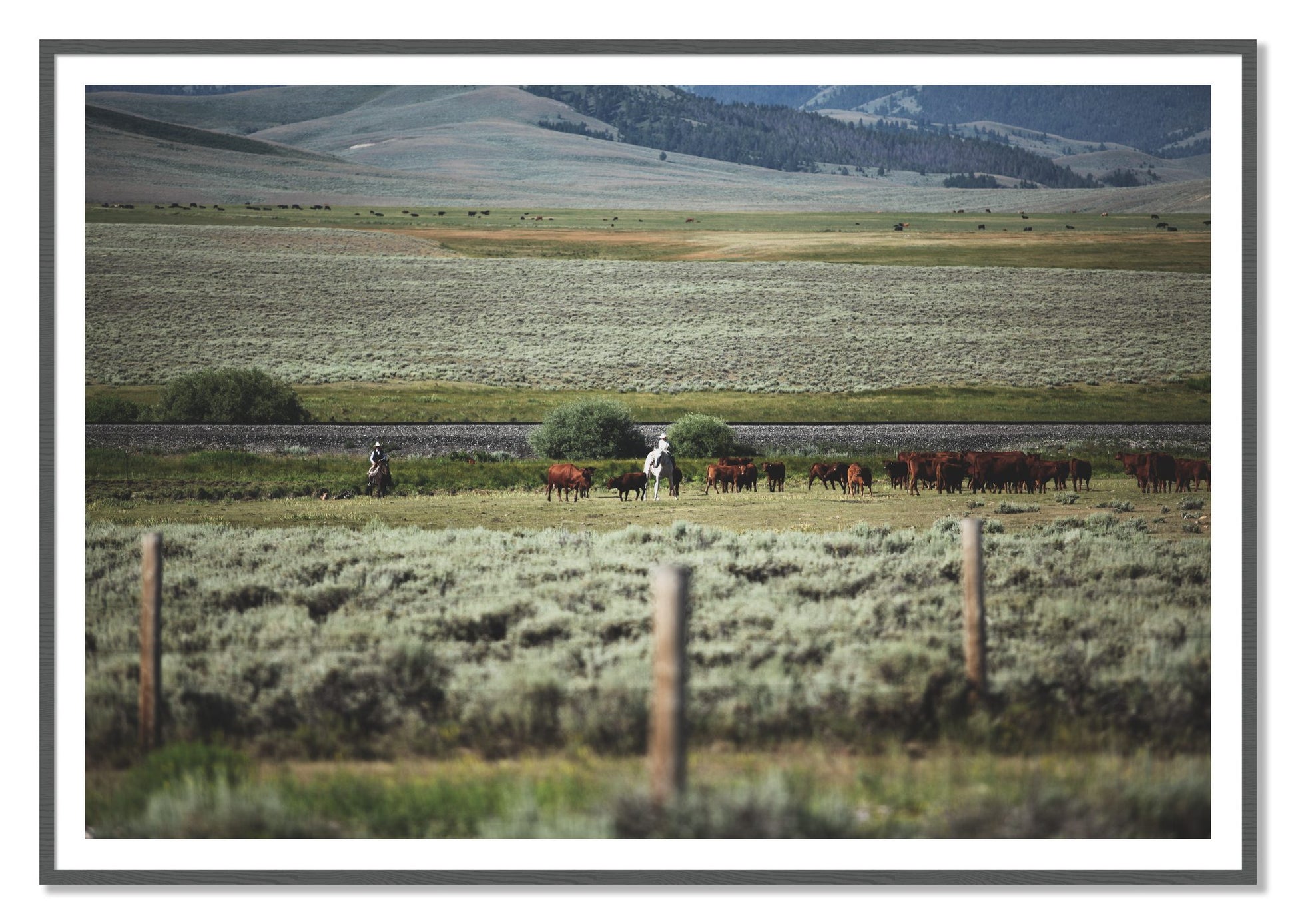Montana by Dylan Ozanich, 48×72 print with a White Border in a Grey frame