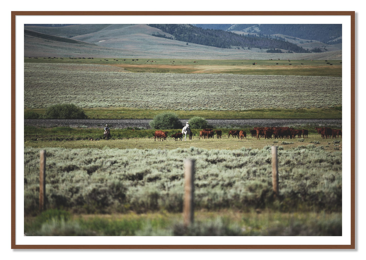 Montana by Dylan Ozanich, 48×72 print with a White Border in a Walnut frame