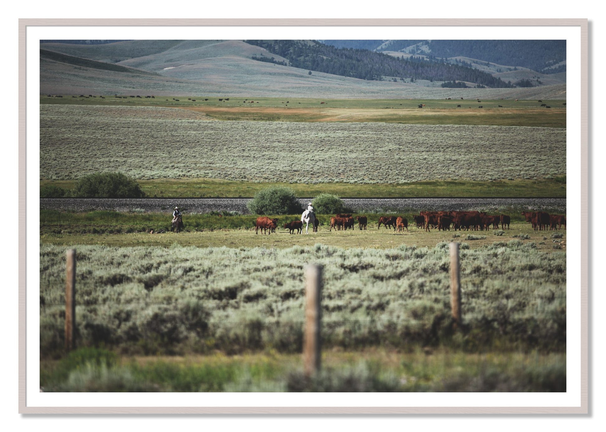 Montana by Dylan Ozanich, 48×72 print with a White Border in a White Maple frame
