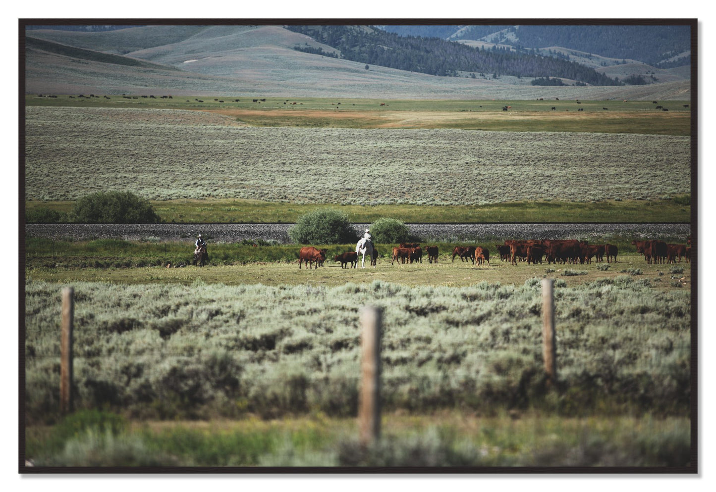 Montana by Dylan Ozanich, 48×72 Full Bleed Print in a Black Walnut frame