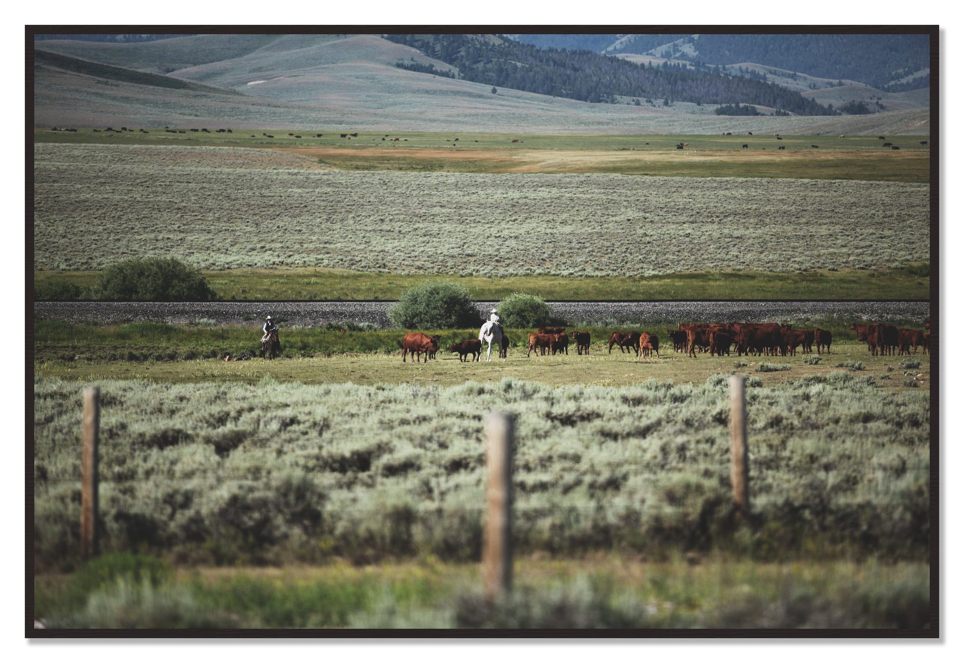 Montana by Dylan Ozanich, 48×72 Full Bleed Print in a Black Walnut frame