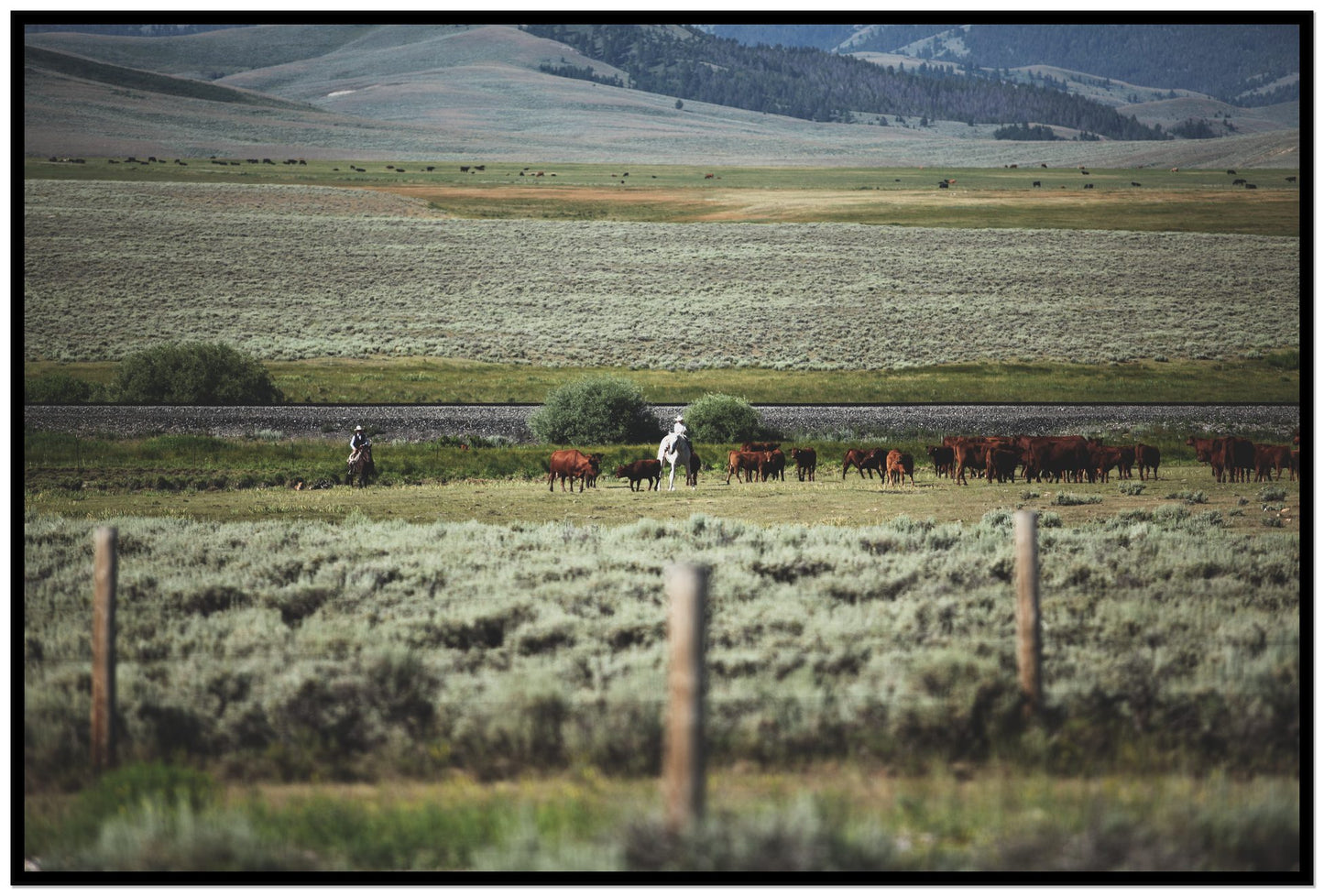 Montana by Dylan Ozanich, 48×72 Full Bleed Print in a Black frame