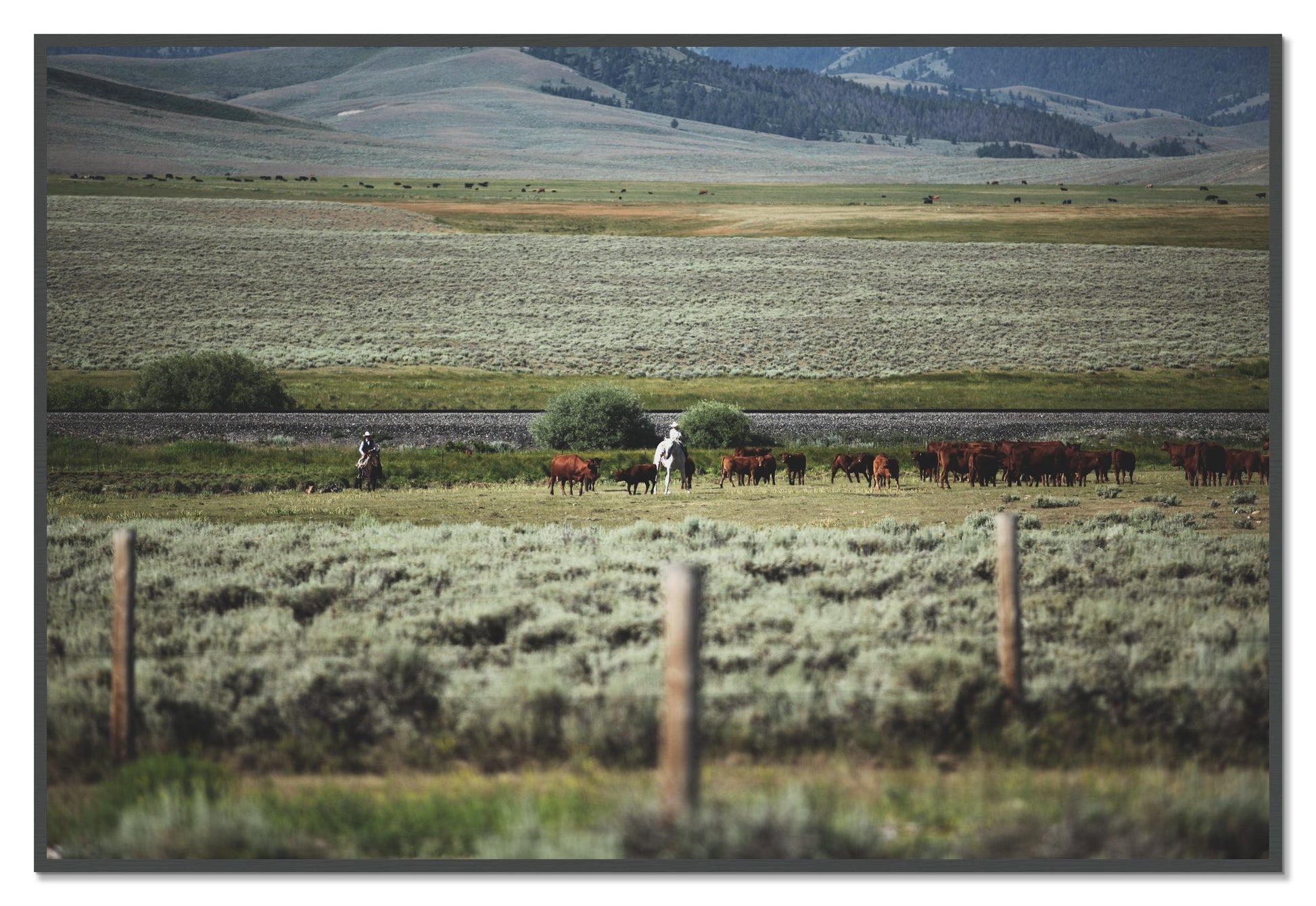 Montana by Dylan Ozanich, 48×72 Full Bleed Print in a Grey frame