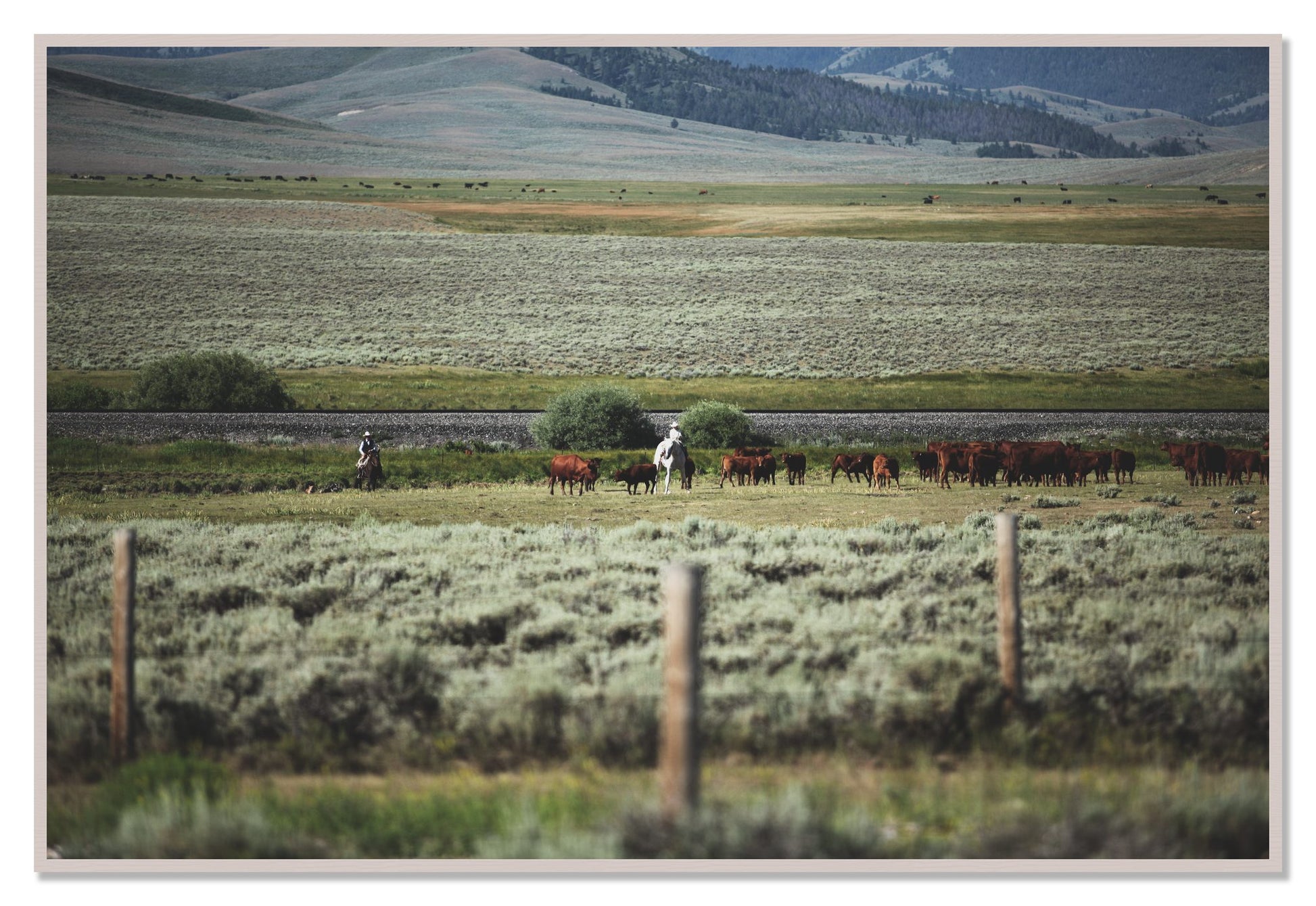 Montana by Dylan Ozanich, 48×72 Full Bleed Print in a White Maple frame