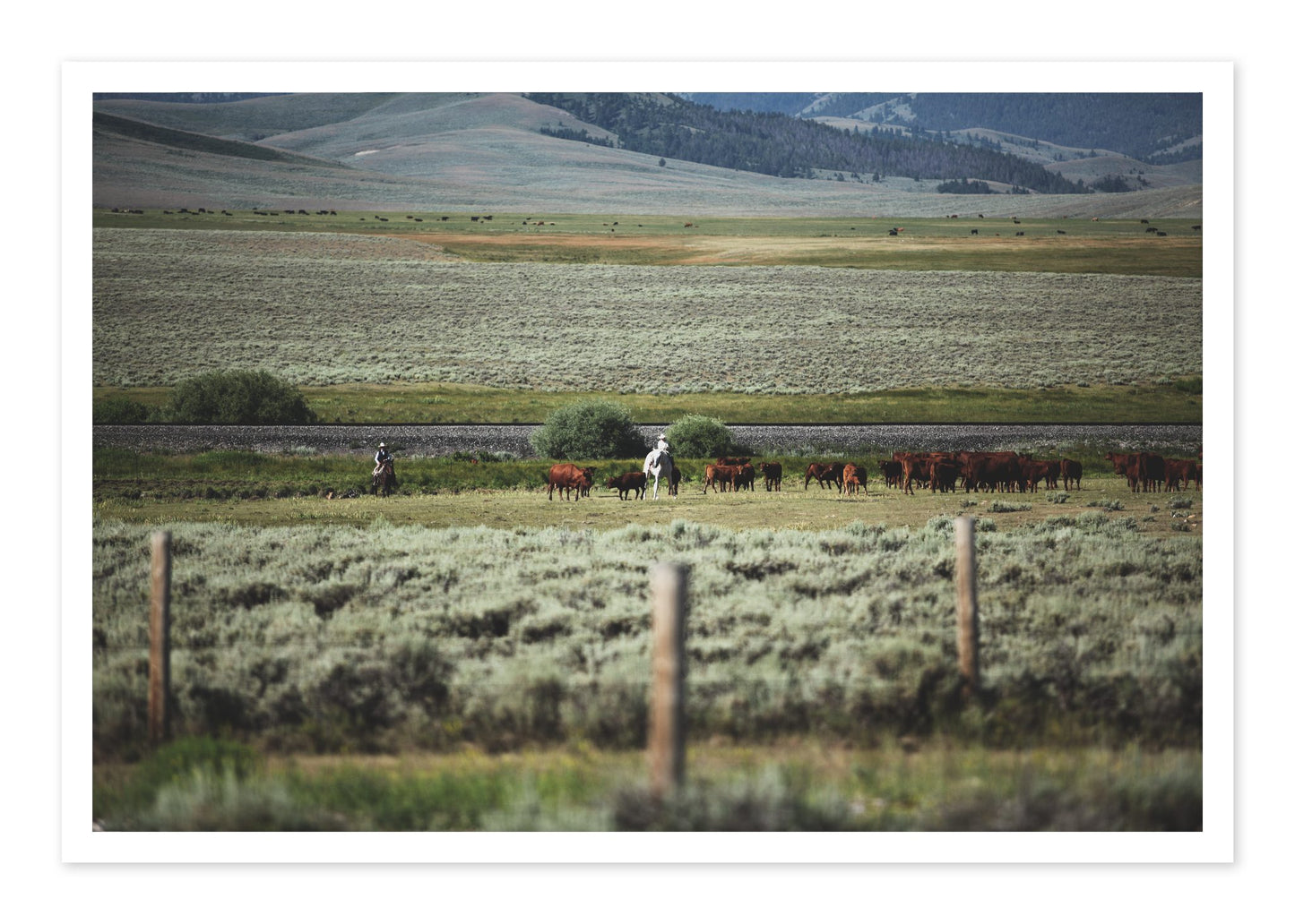 Montana by Dylan Ozanich, 48×72 Fine Art Pigment Print on Hahnemühle Cotton Rag Paper, unframed