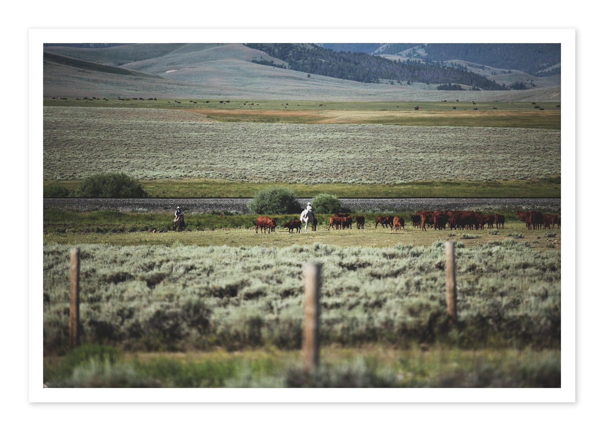 Montana by Dylan Ozanich, 48×72 Fine Art Pigment Print on Hahnemühle Cotton Rag Paper, unframed