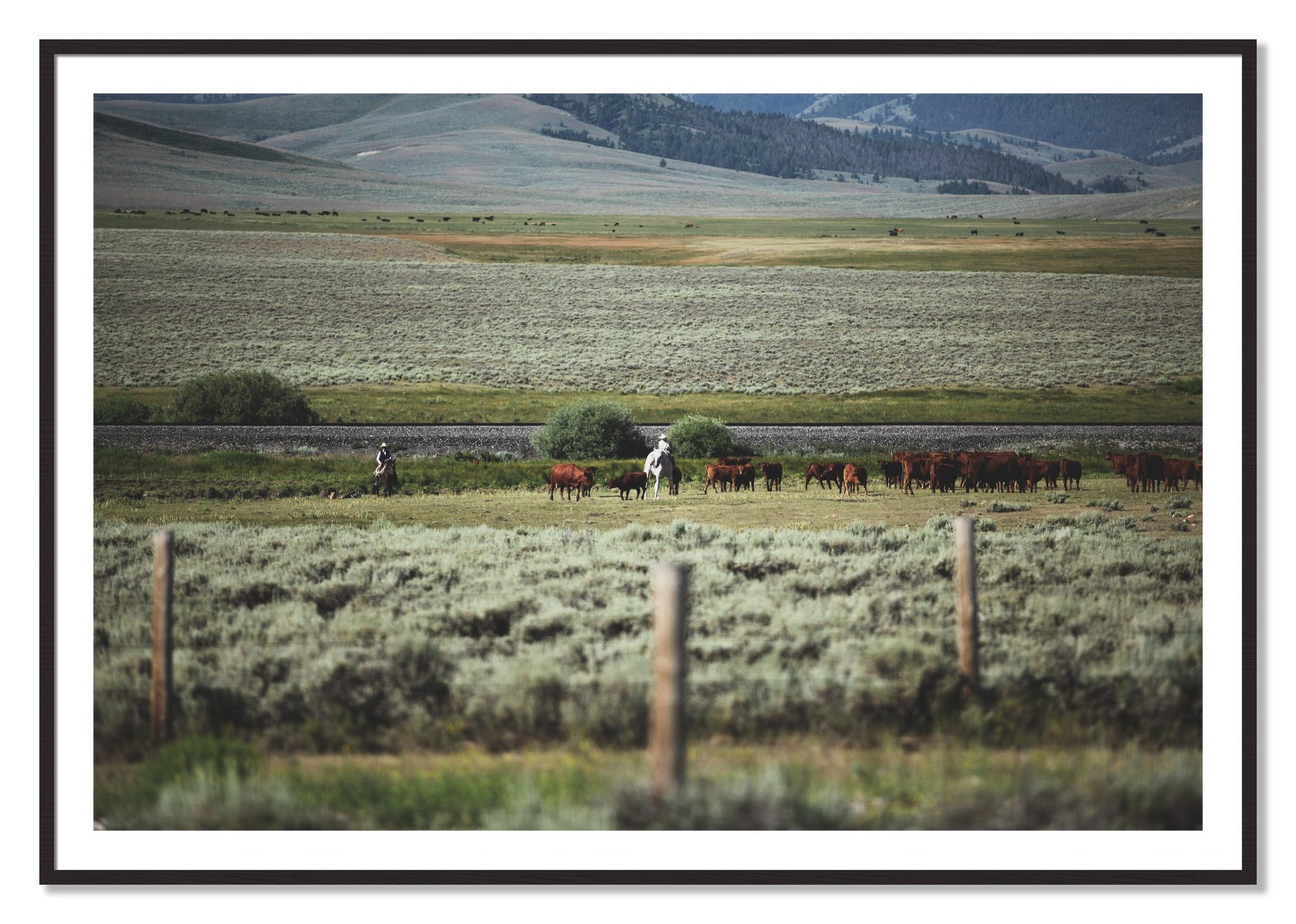 Framed photograph of Montana by Dylan Ozanich, Black Walnut frame, Borders
