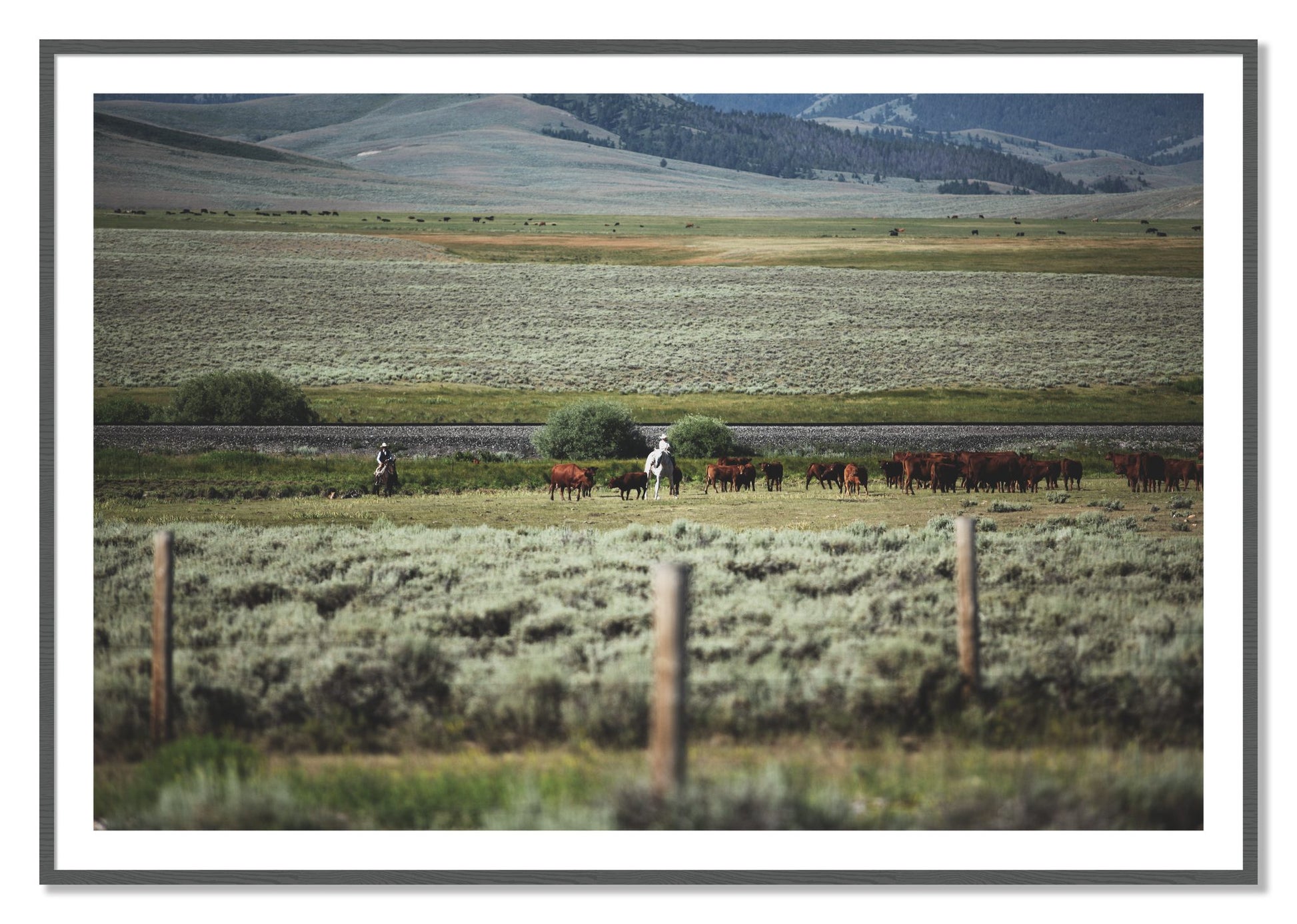 Framed photograph of Montana by Dylan Ozanich, Grey frame, Borders
