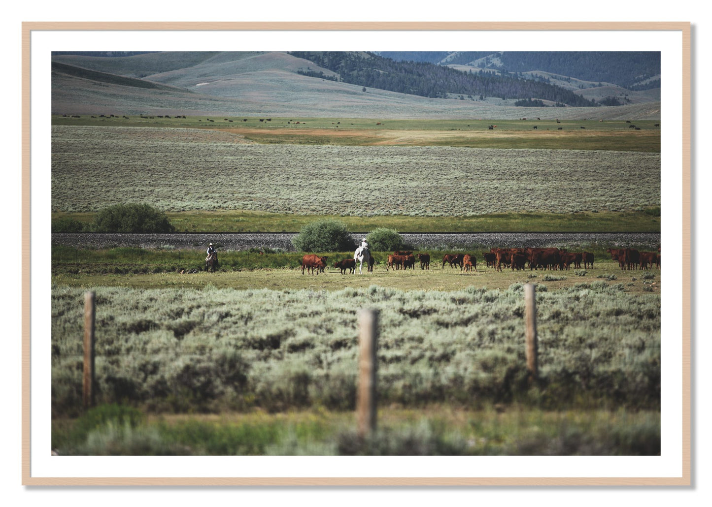 Framed photograph of Montana by Dylan Ozanich, Maple frame, Borders