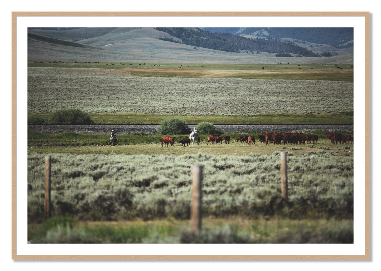 Framed photograph of Montana by Dylan Ozanich, Oak frame, Borders