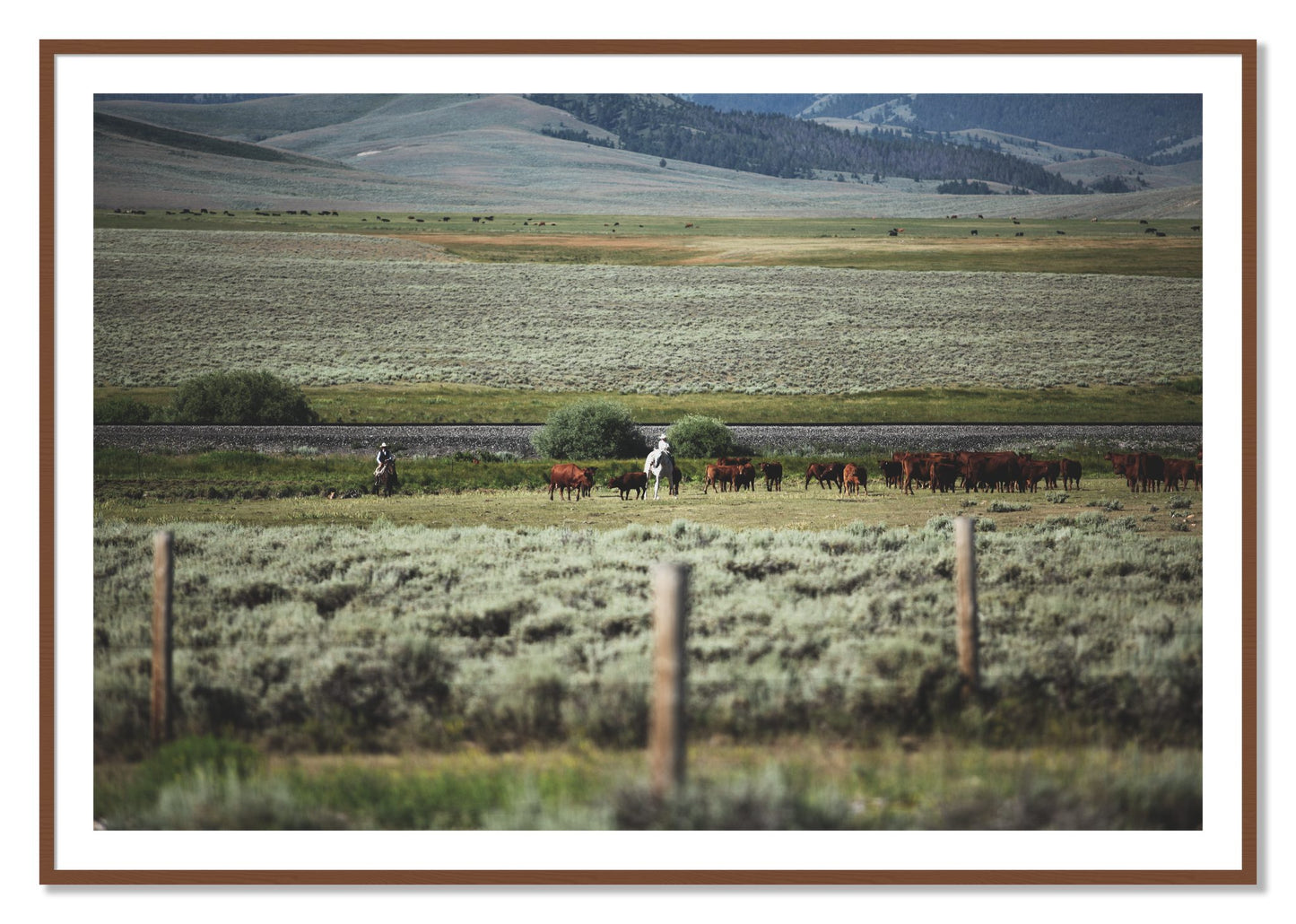 Framed photograph of Montana by Dylan Ozanich, Walnut frame, Borders