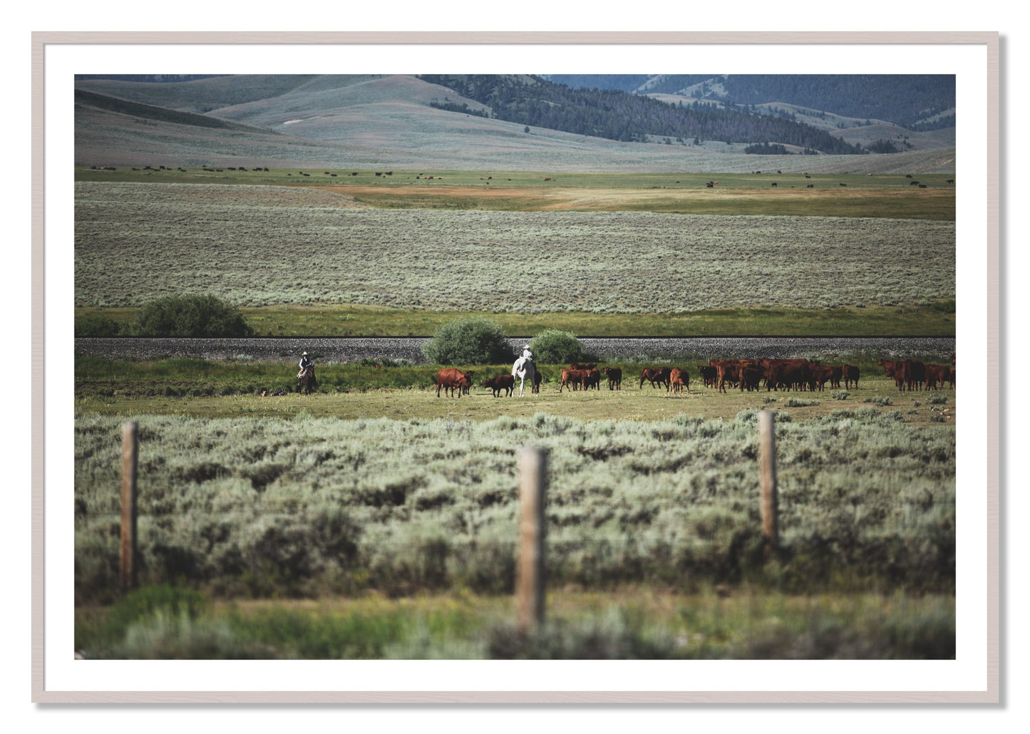 Framed photograph of Montana by Dylan Ozanich, White Maple frame, Borders