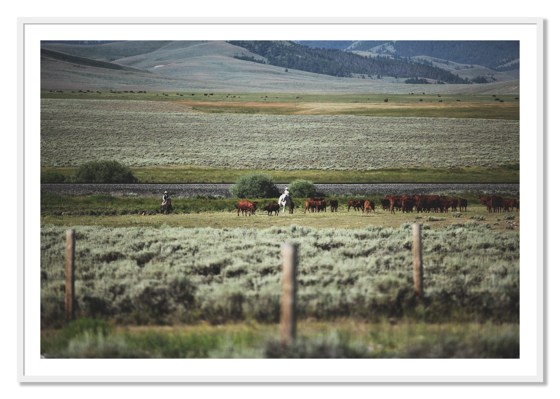 Framed photograph of Montana by Dylan Ozanich, White frame, Borders