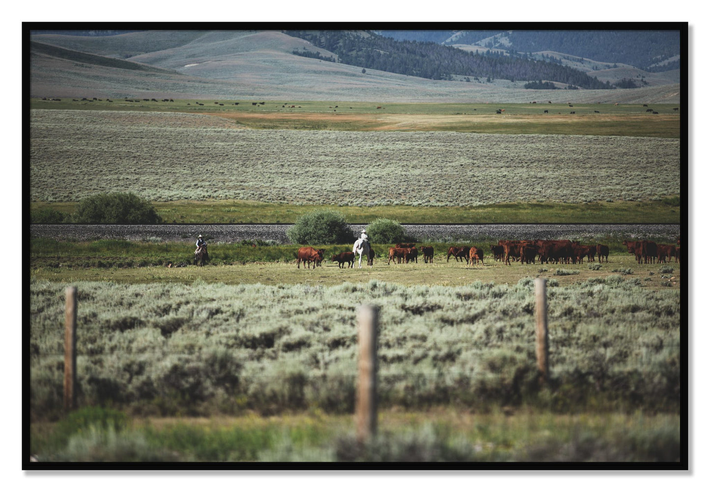 Framed photograph of Montana by Dylan Ozanich, Black frame, Full Bleed