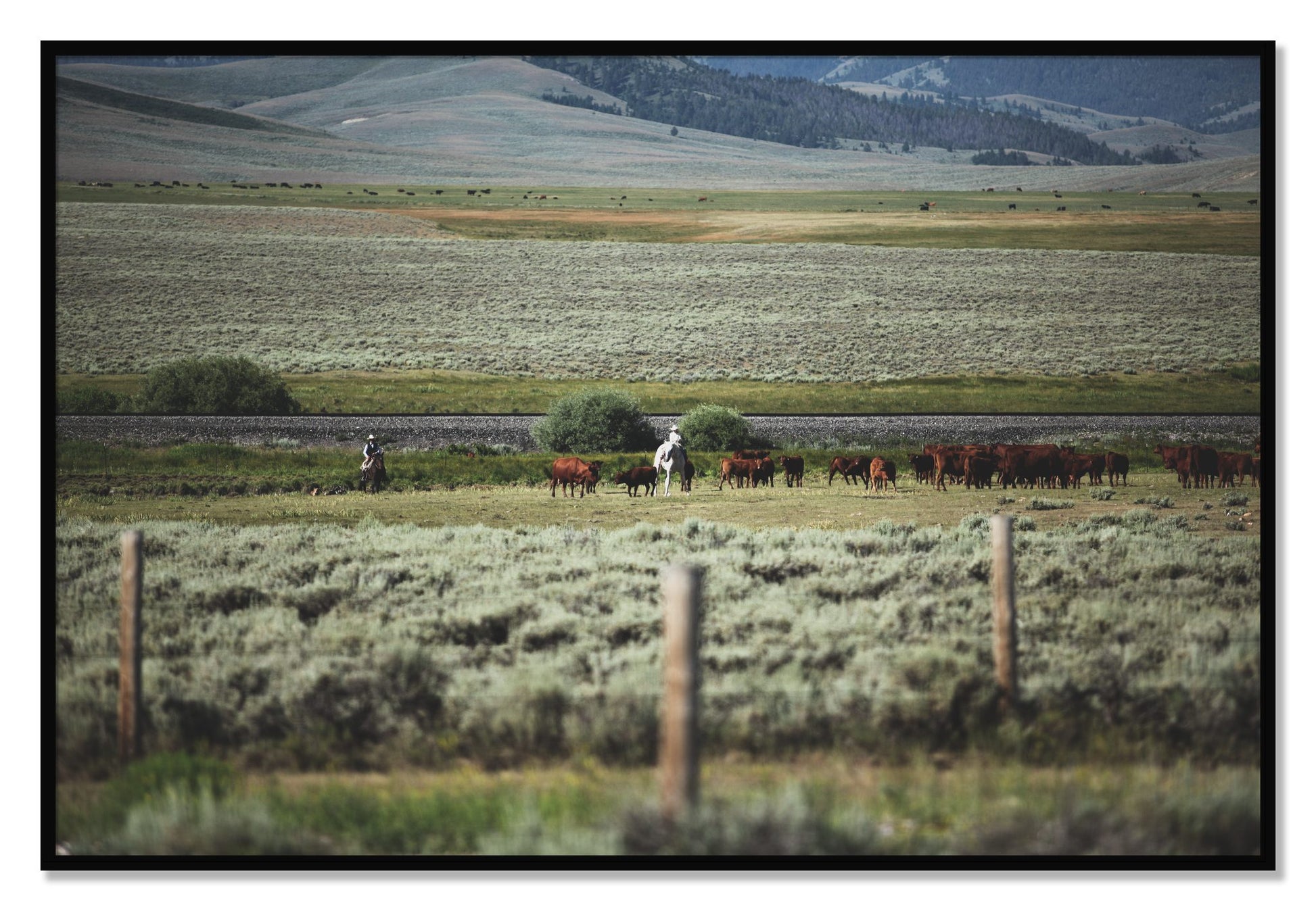 Framed photograph of Montana by Dylan Ozanich, Black frame, Full Bleed