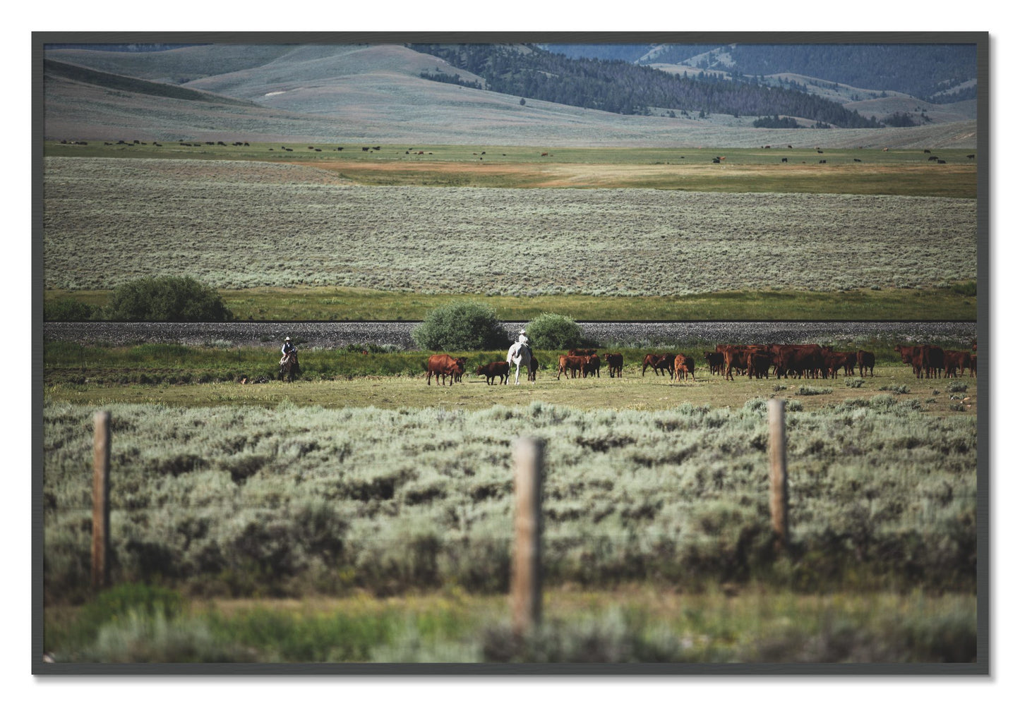 Framed photograph of Montana by Dylan Ozanich, Grey frame, Full Bleed