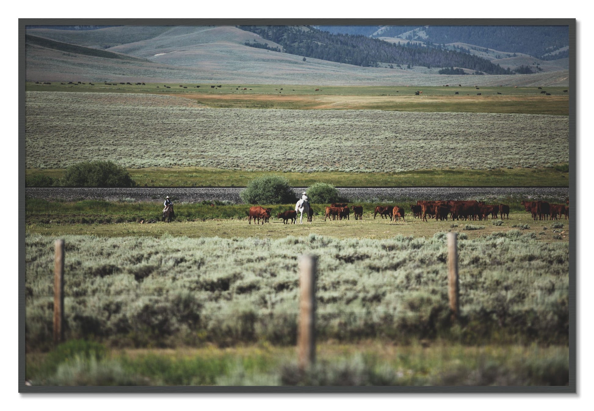 Framed photograph of Montana by Dylan Ozanich, Grey frame, Full Bleed