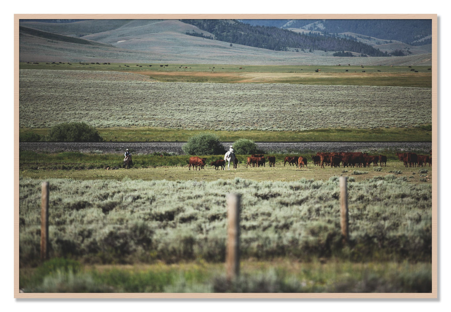 Framed photograph of Montana by Dylan Ozanich, Maple frame, Full Bleed