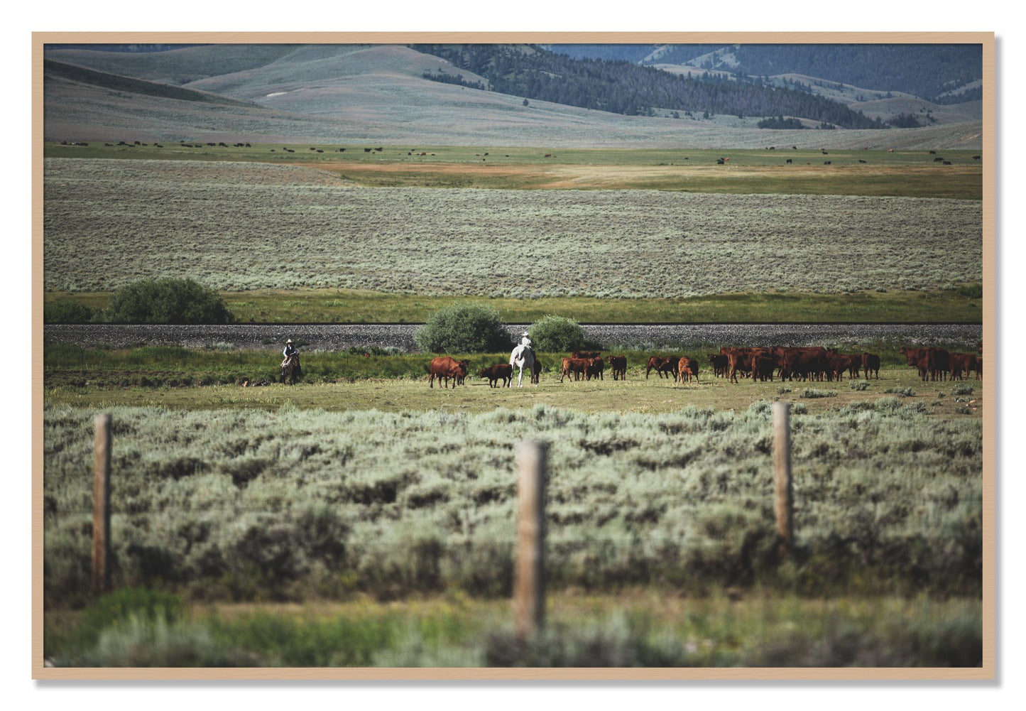 Framed photograph of Montana by Dylan Ozanich, Oak frame, Full Bleed