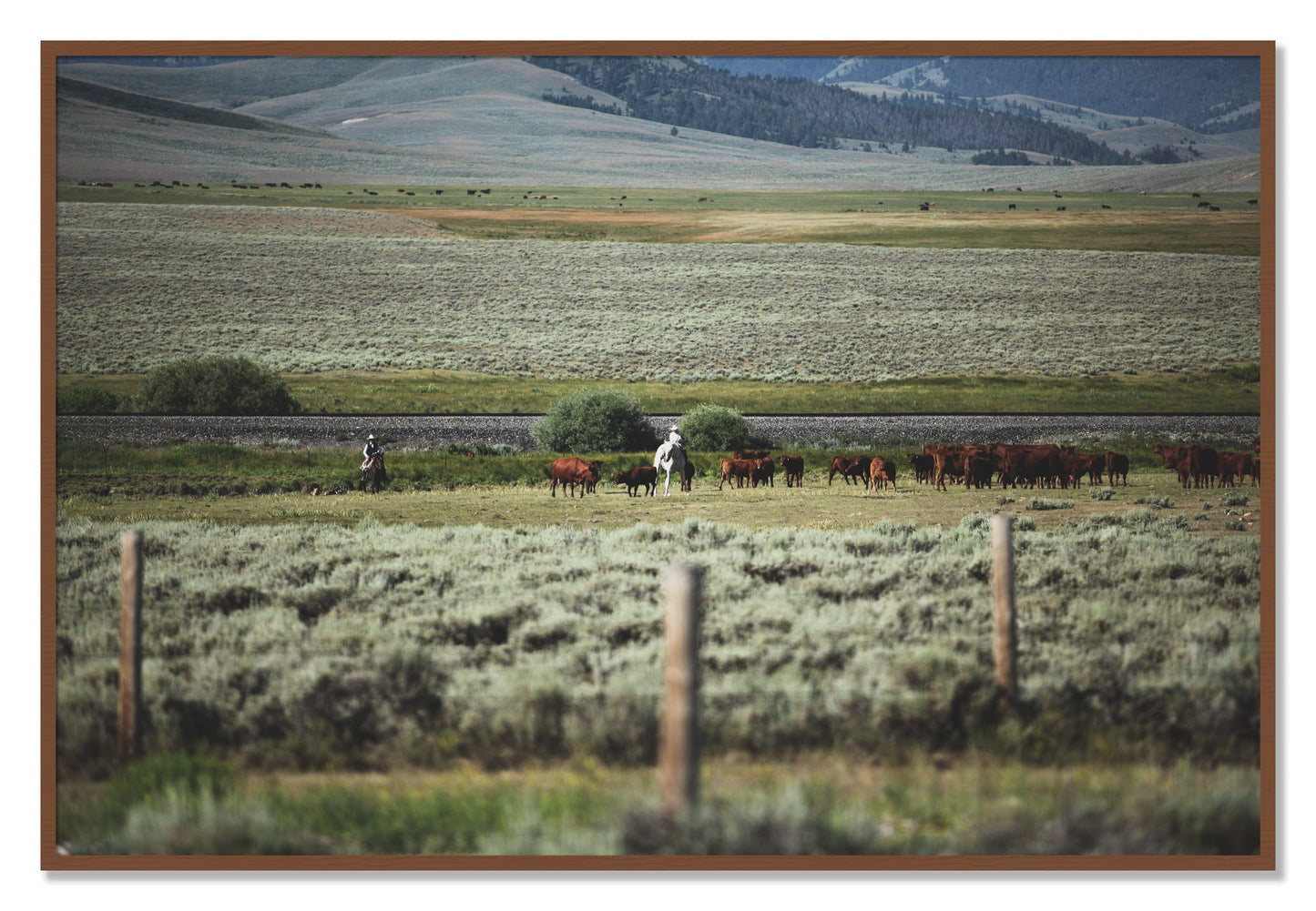 Framed photograph of Montana by Dylan Ozanich, Walnut frame, Full Bleed