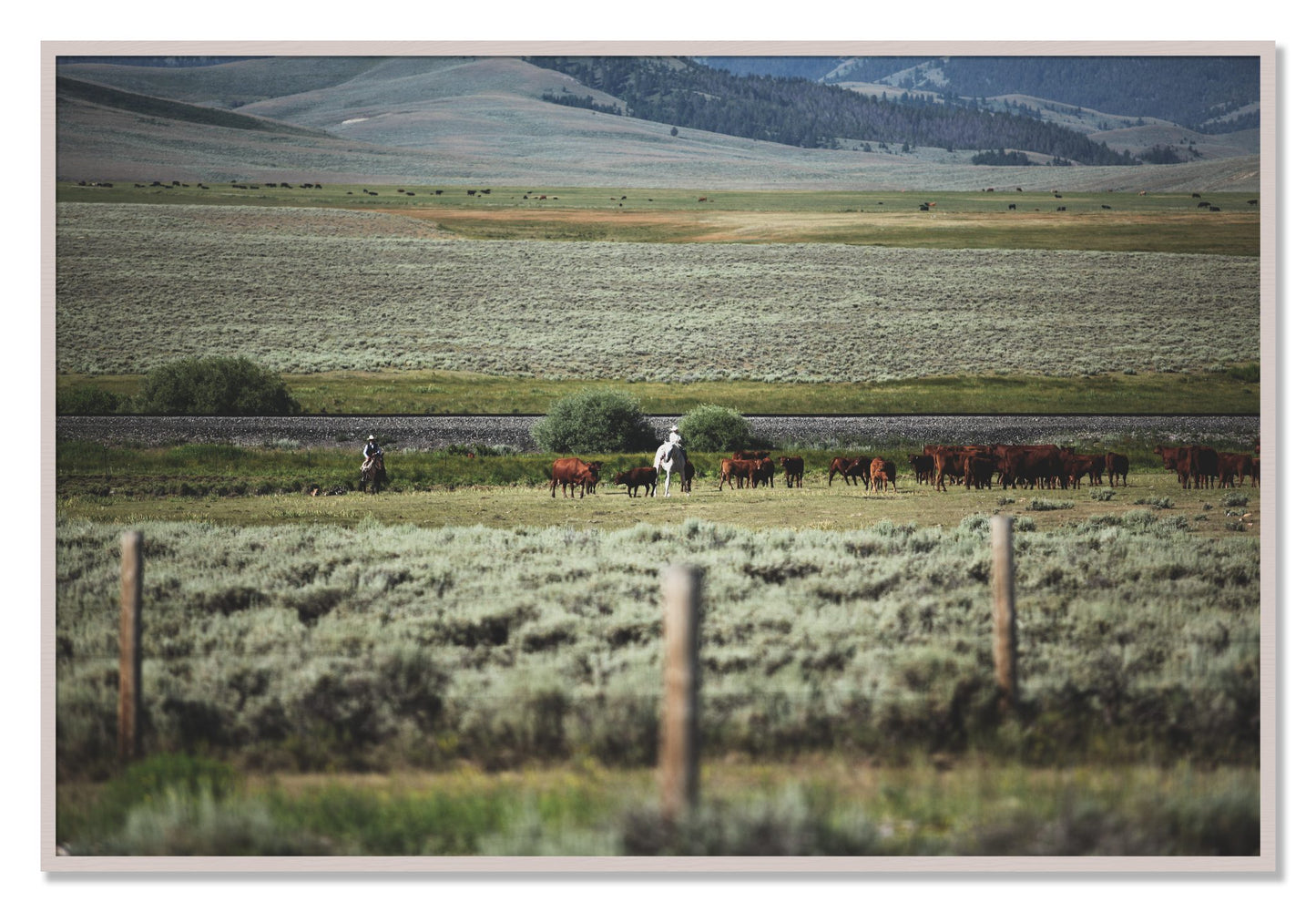 Framed photograph of Montana by Dylan Ozanich, White Maple frame, Full Bleed