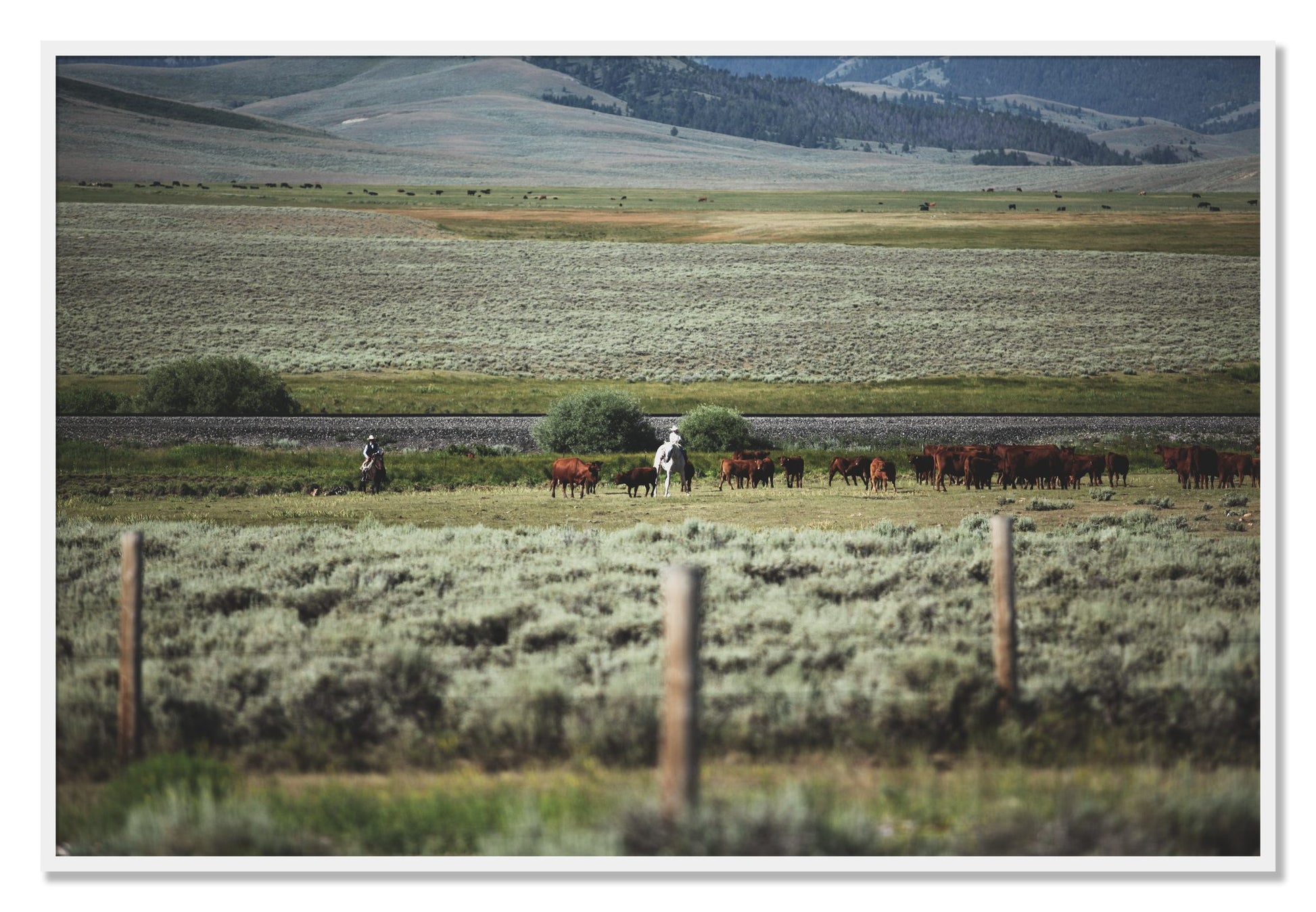 Framed photograph of Montana by Dylan Ozanich, White frame, Full Bleed