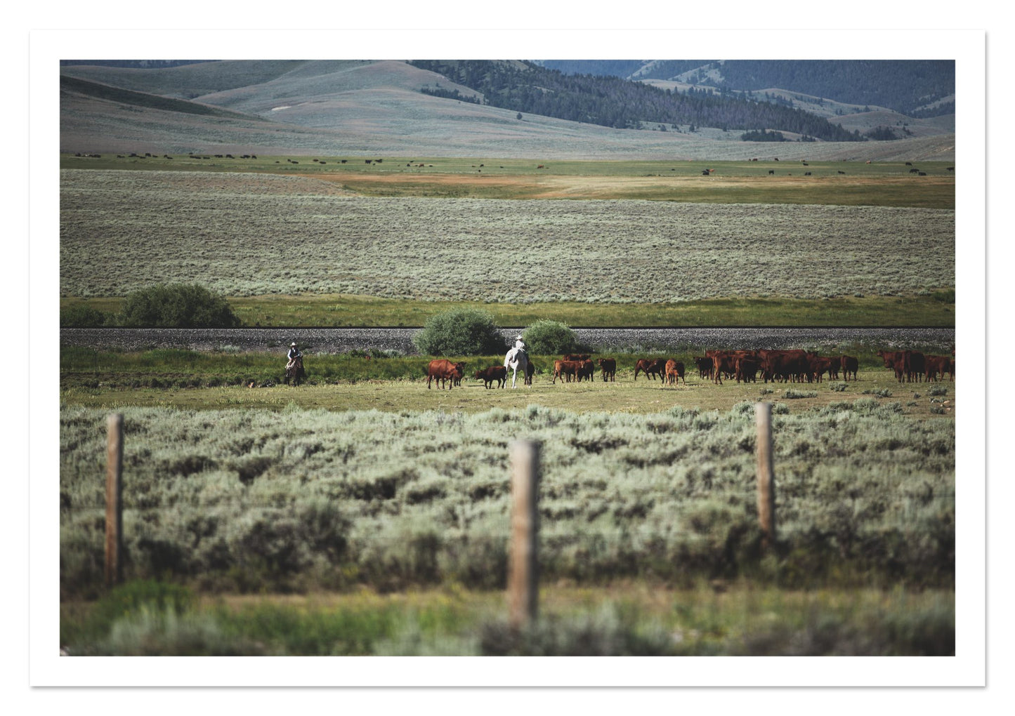 Fine art print of Montana by Dylan Ozanich, unframed
