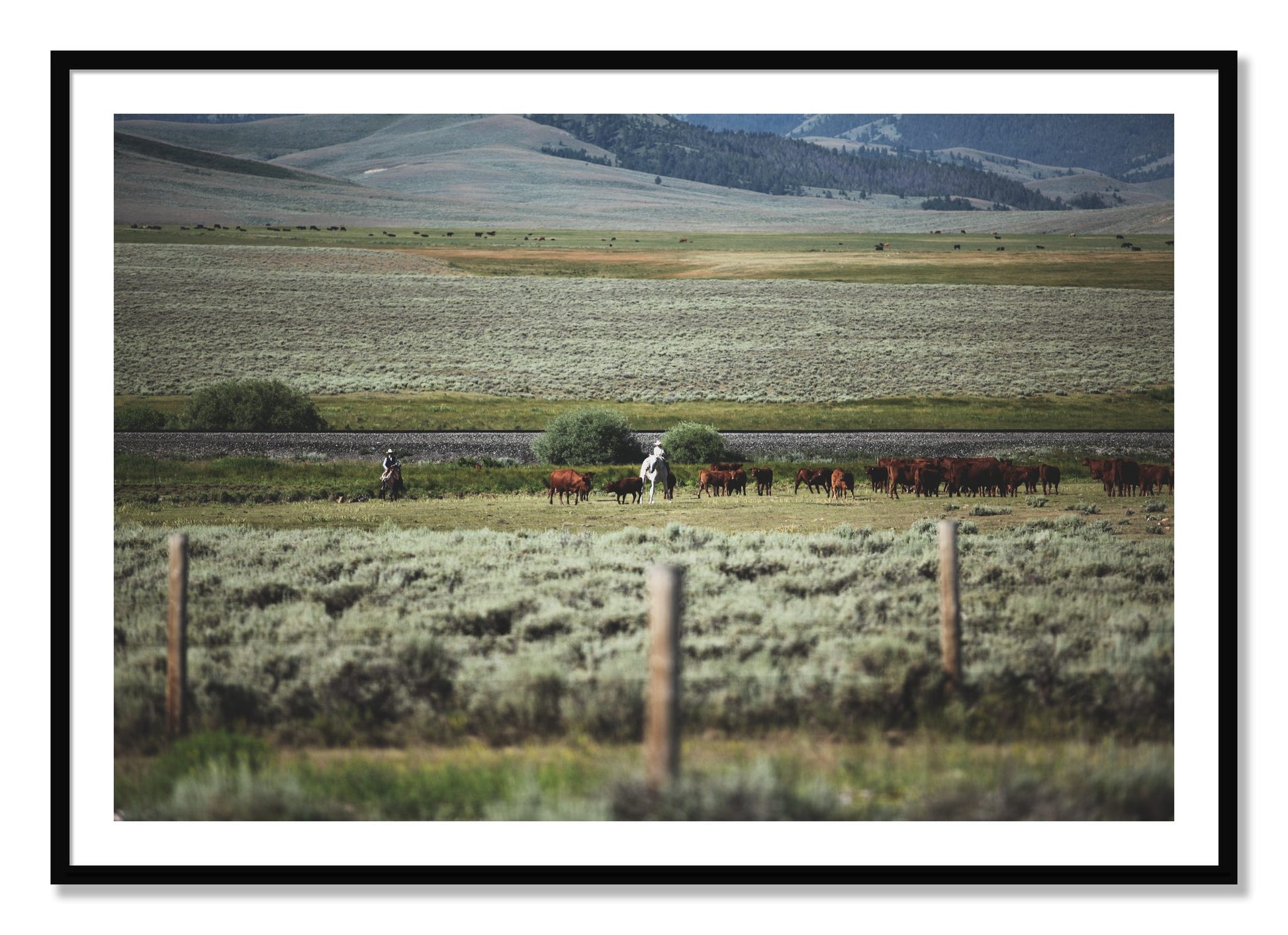 Framed photograph of Montana by Dylan Ozanich, Black frame, Borders