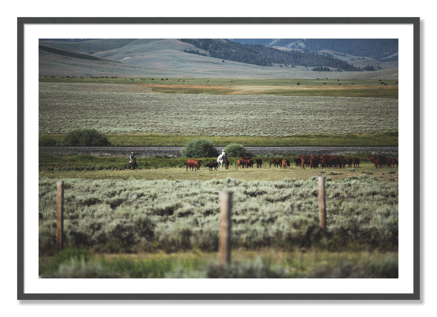 Framed photograph of Montana by Dylan Ozanich, Grey frame, Borders