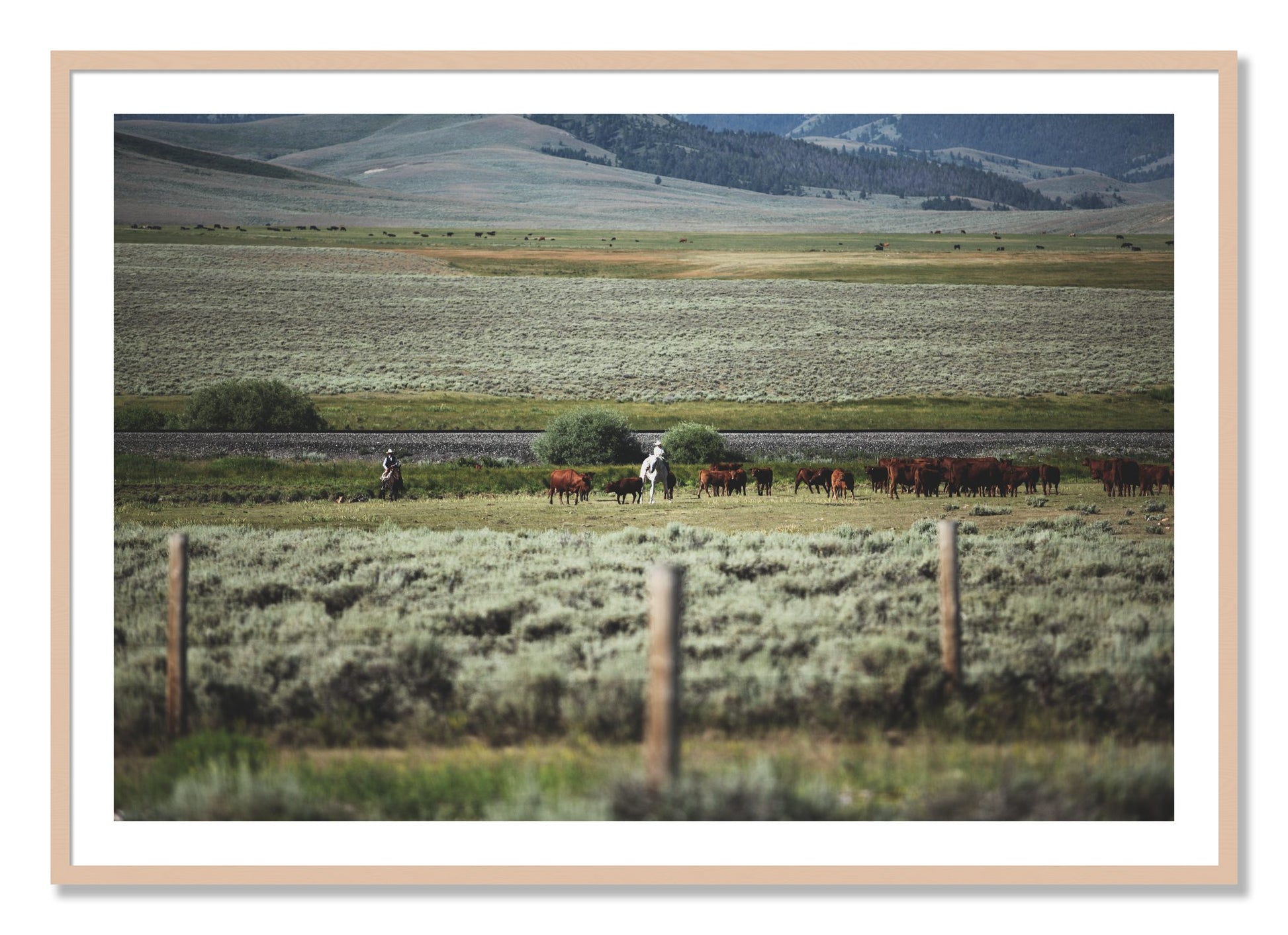 Framed photograph of Montana by Dylan Ozanich, Maple frame, Borders