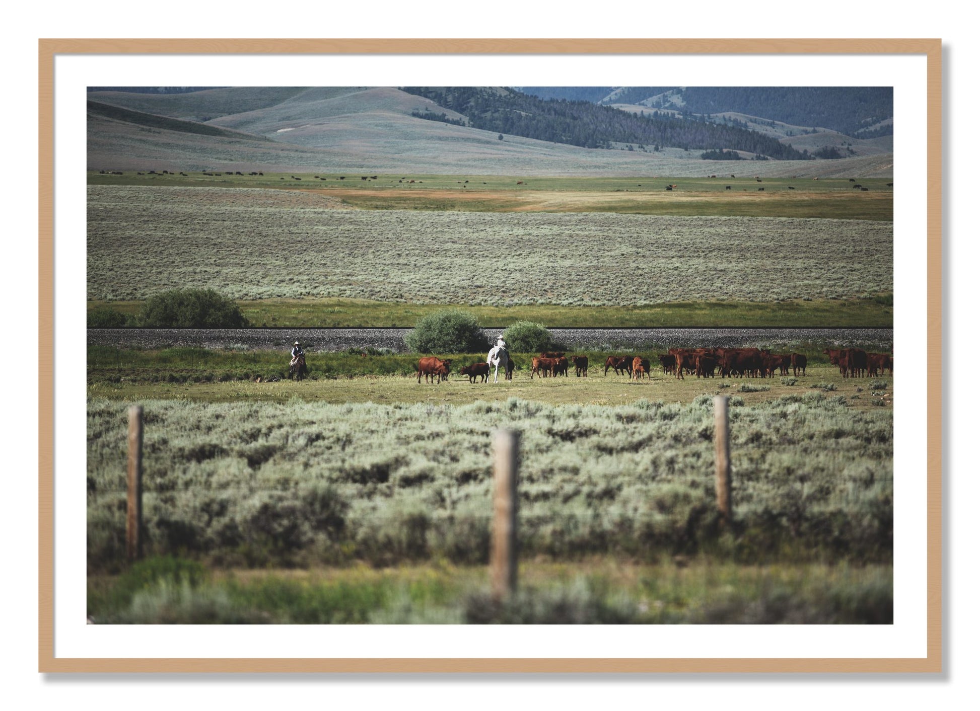Framed photograph of Montana by Dylan Ozanich, Oak frame, Borders