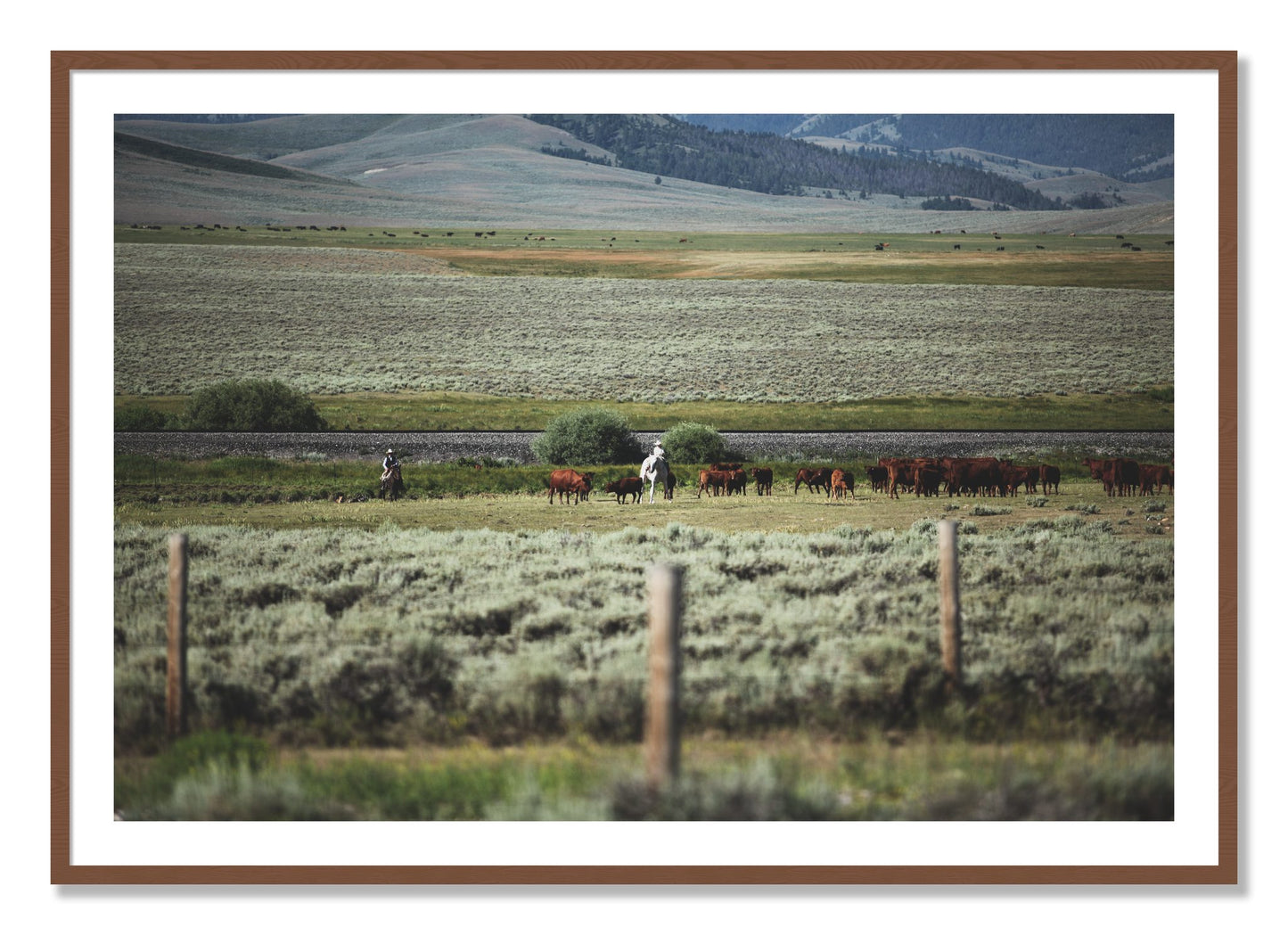 Framed photograph of Montana by Dylan Ozanich, Walnut frame, Borders