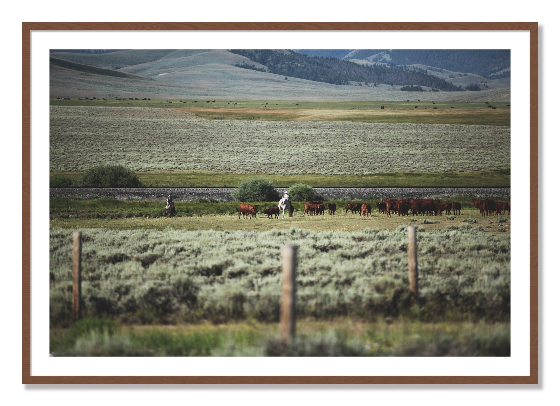 Framed photograph of Montana by Dylan Ozanich, Walnut frame, Borders