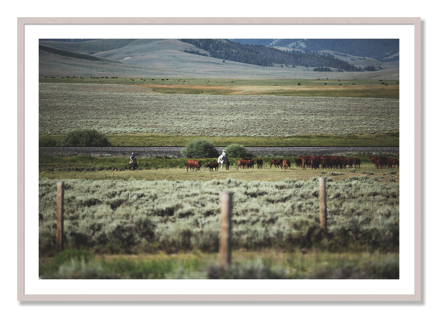 Framed photograph of Montana by Dylan Ozanich, White Maple frame, Borders