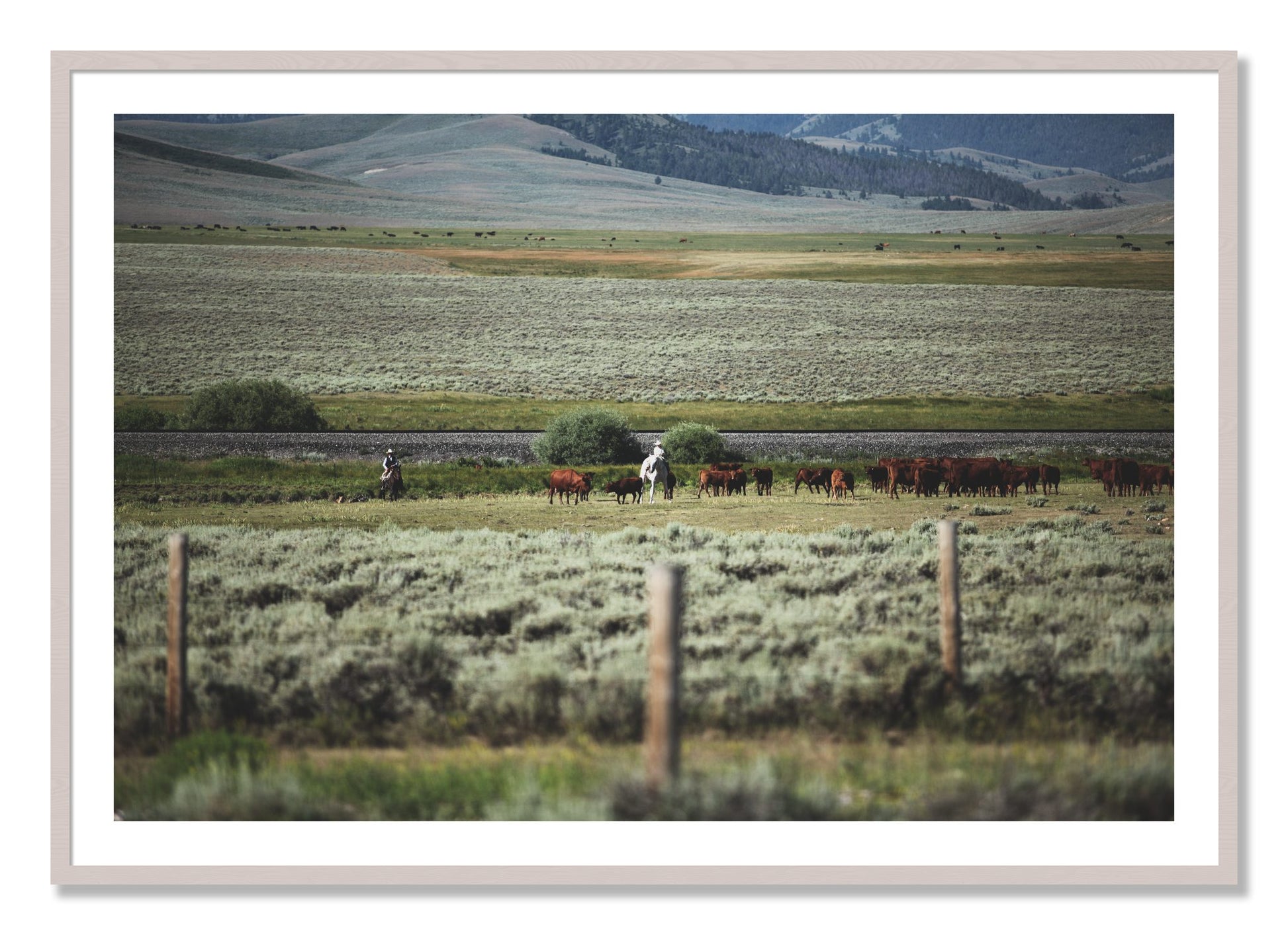 Framed photograph of Montana by Dylan Ozanich, White Maple frame, Borders