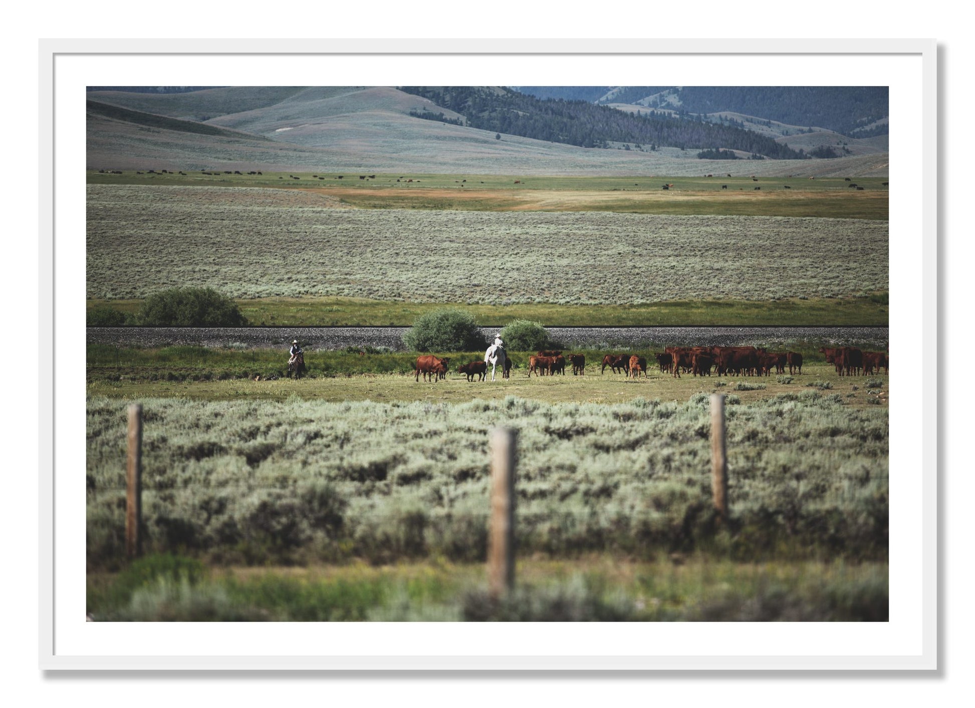 Framed photograph of Montana by Dylan Ozanich, White frame, Borders