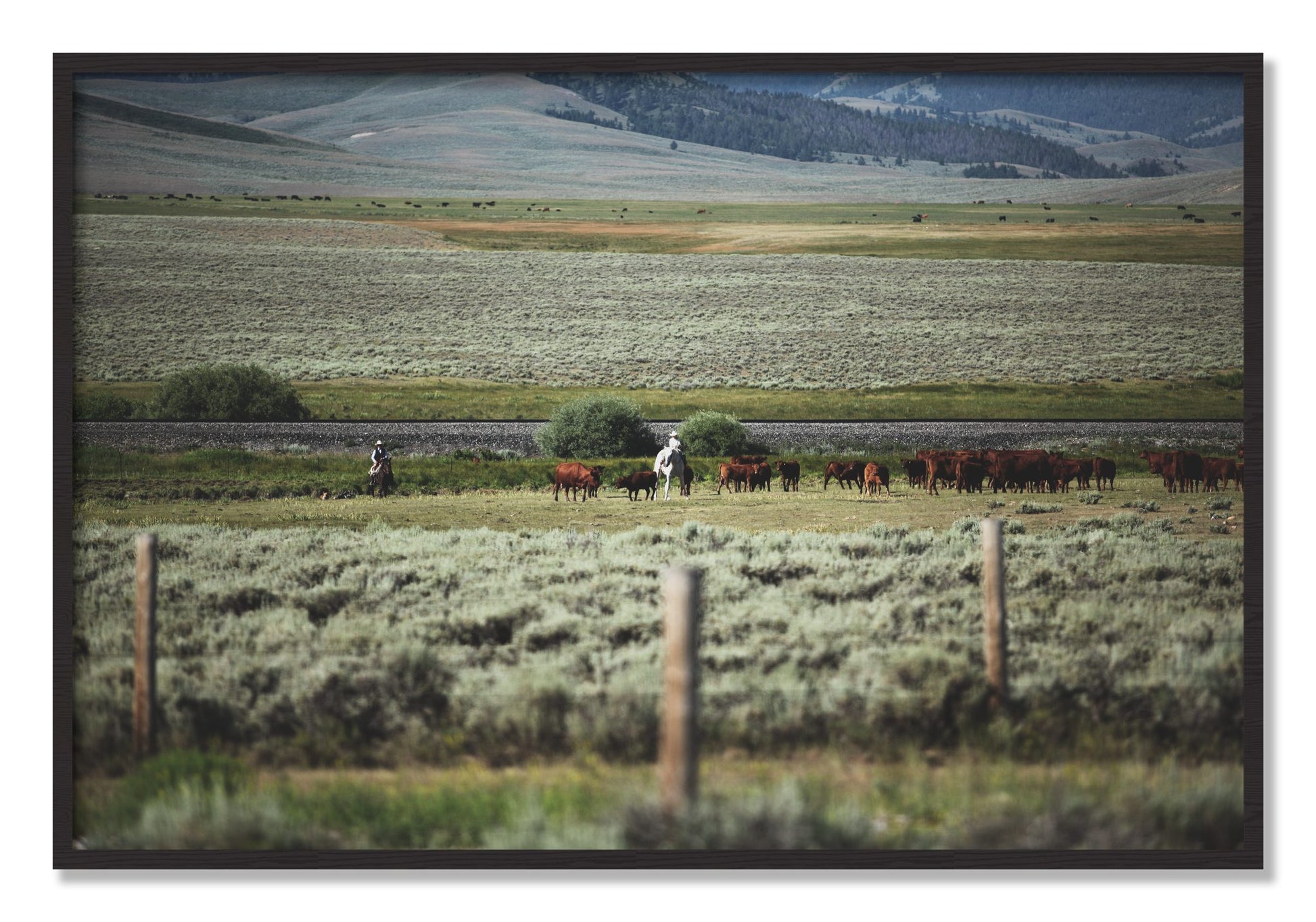 Framed photograph of Montana by Dylan Ozanich, Black Walnut frame, Full Bleed