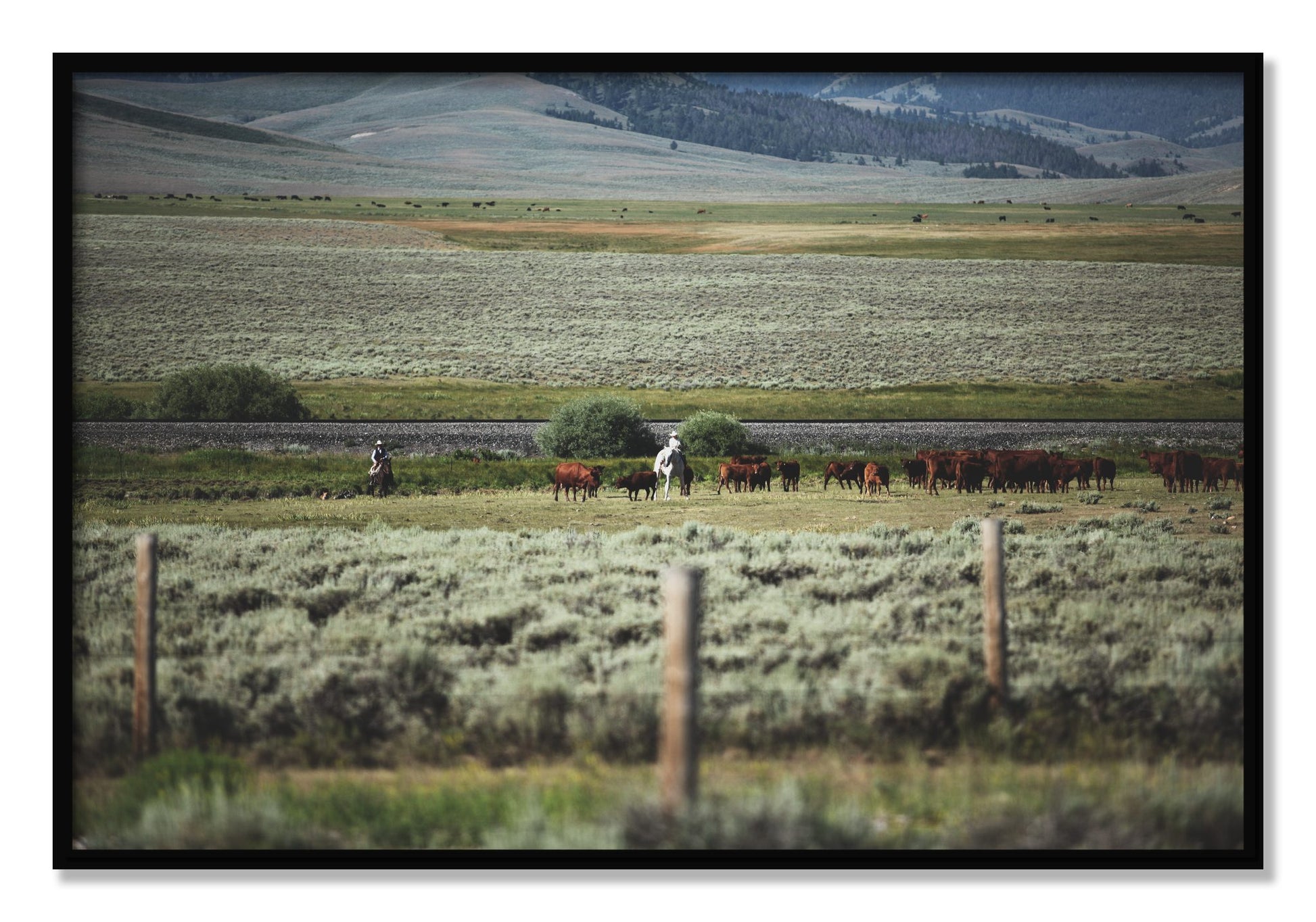 Framed photograph of Montana by Dylan Ozanich, Black frame, Full Bleed