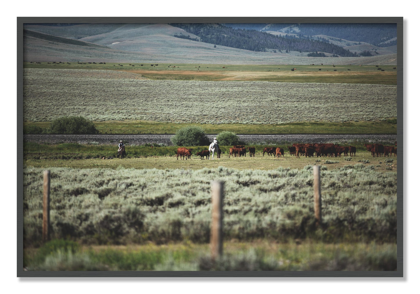 Framed photograph of Montana by Dylan Ozanich, Grey frame, Full Bleed