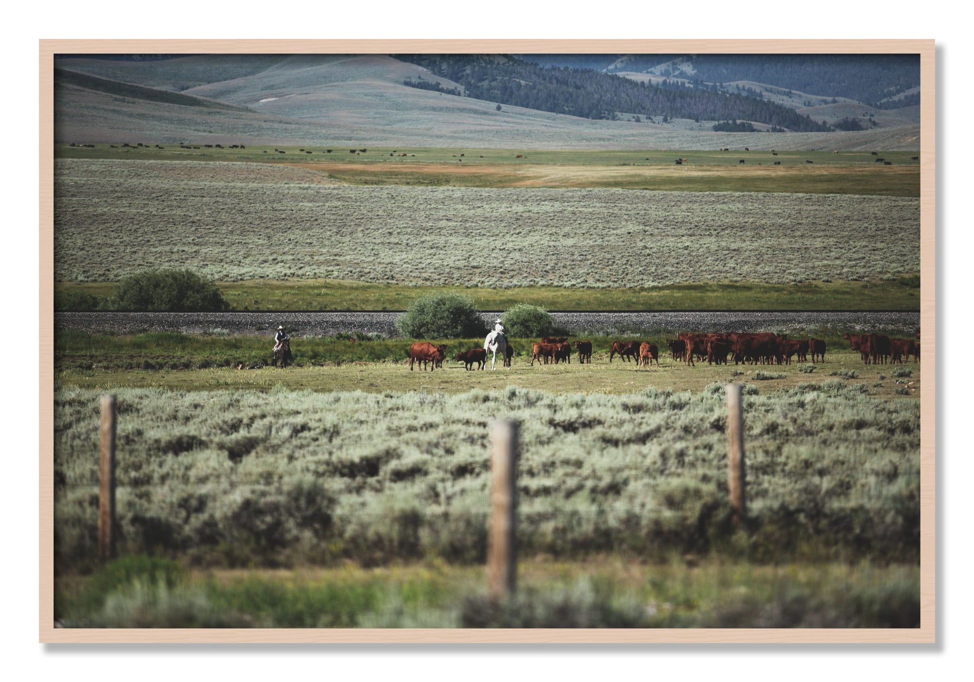 Framed photograph of Montana by Dylan Ozanich, Maple frame, Full Bleed