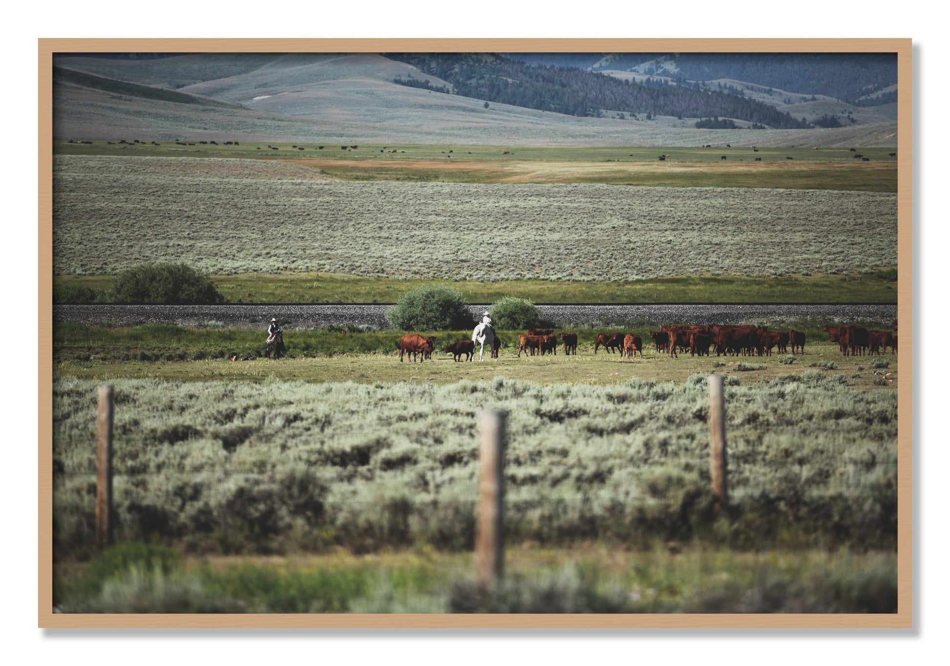 Framed photograph of Montana by Dylan Ozanich, Oak frame, Full Bleed