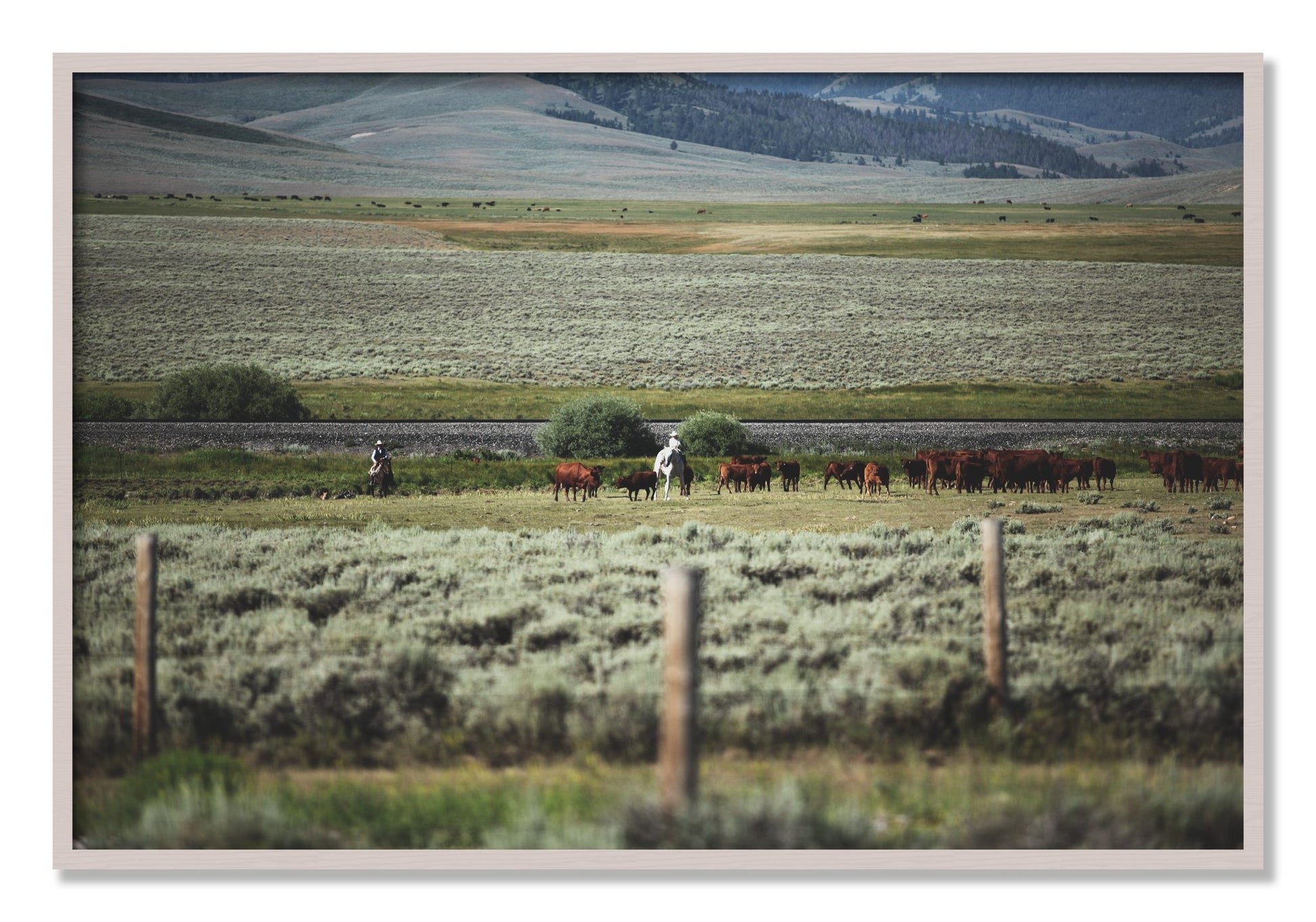 Framed photograph of Montana by Dylan Ozanich, White Maple frame, Full Bleed