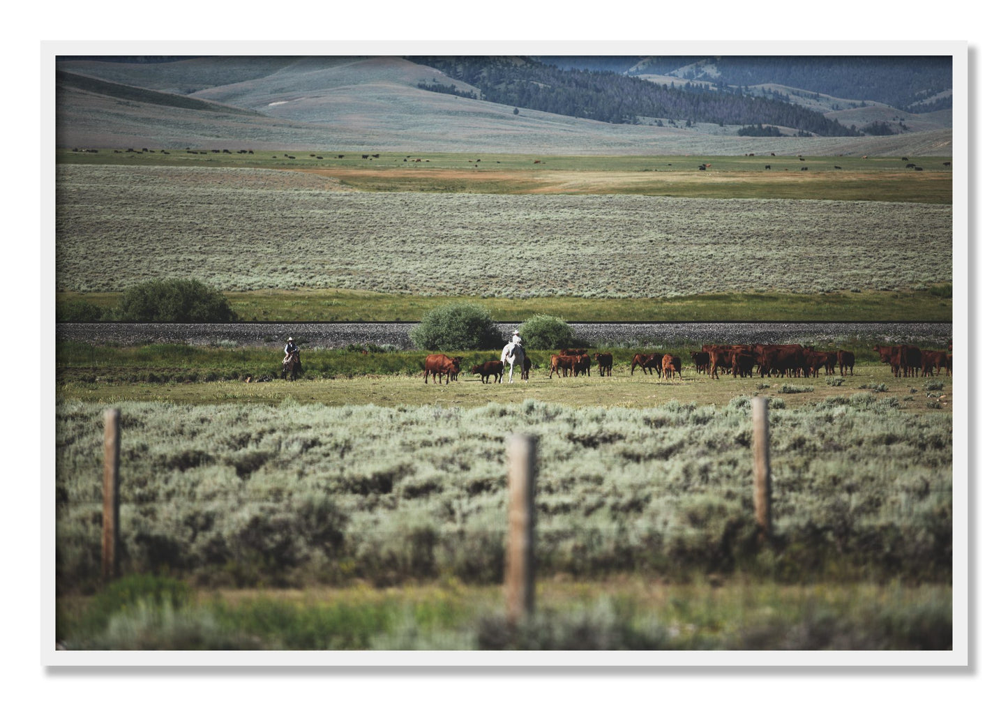 Framed photograph of Montana by Dylan Ozanich, White frame, Full Bleed