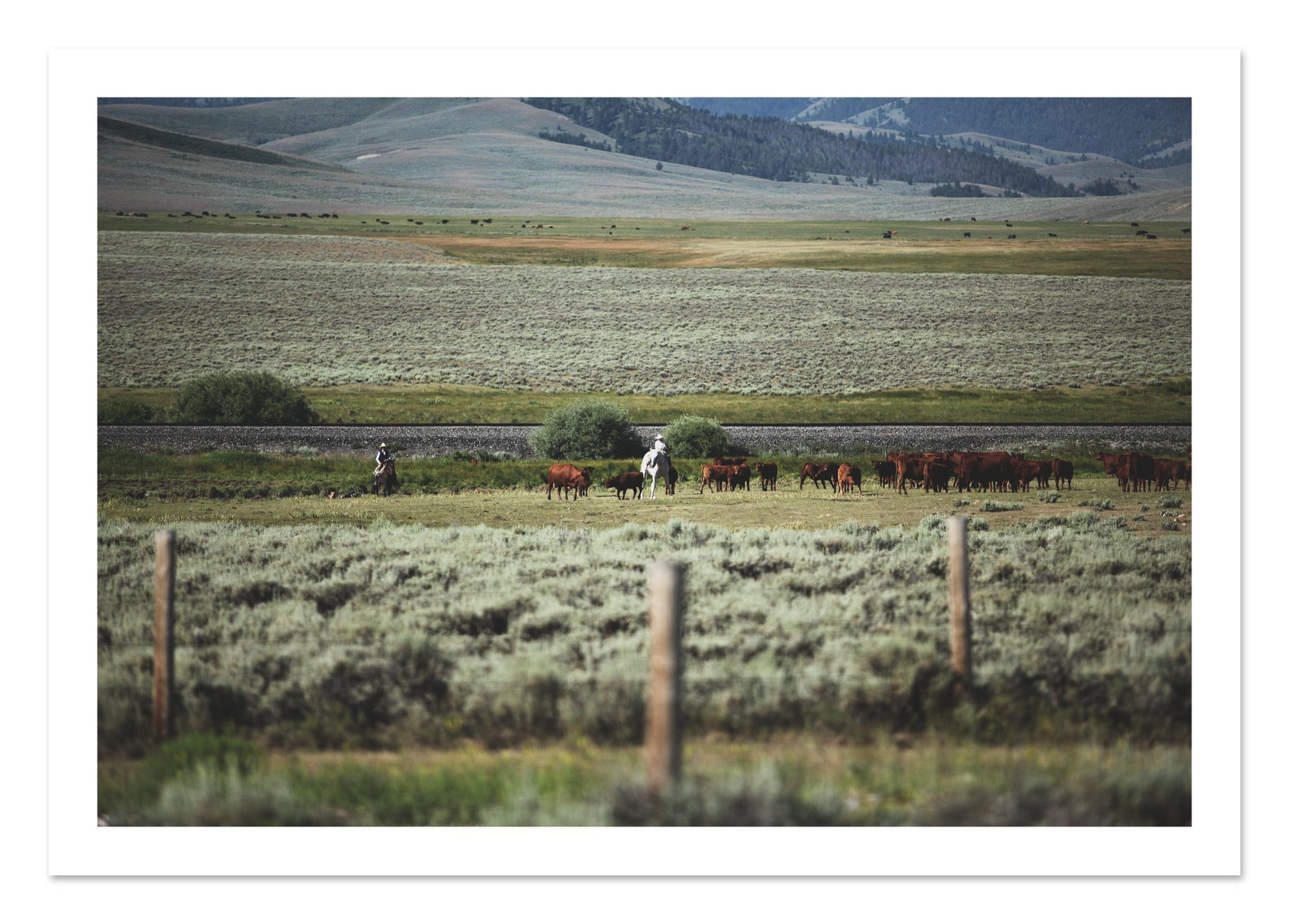 Fine art print of Montana by Dylan Ozanich, unframed