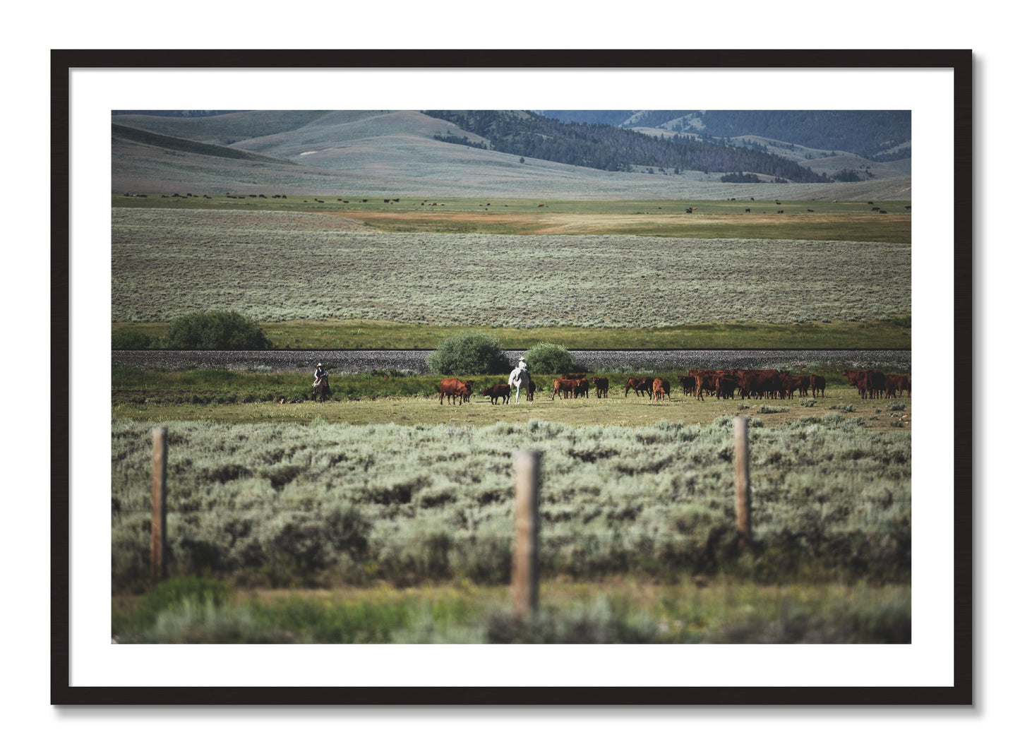 Framed photograph of Montana by Dylan Ozanich, Black Walnut frame, Borders