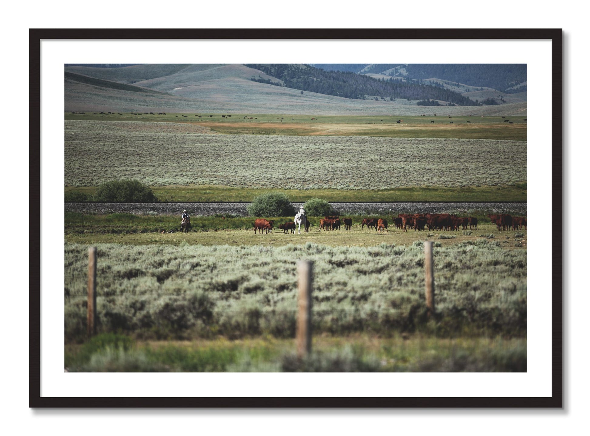 Framed photograph of Montana by Dylan Ozanich, Black Walnut frame, Borders
