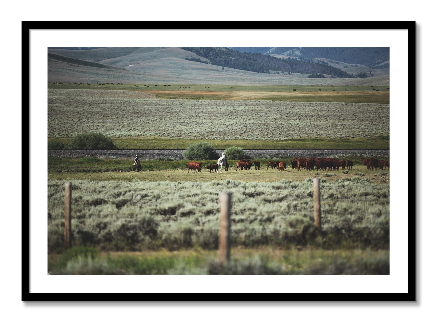 Framed photograph of Montana by Dylan Ozanich, Black frame, Borders