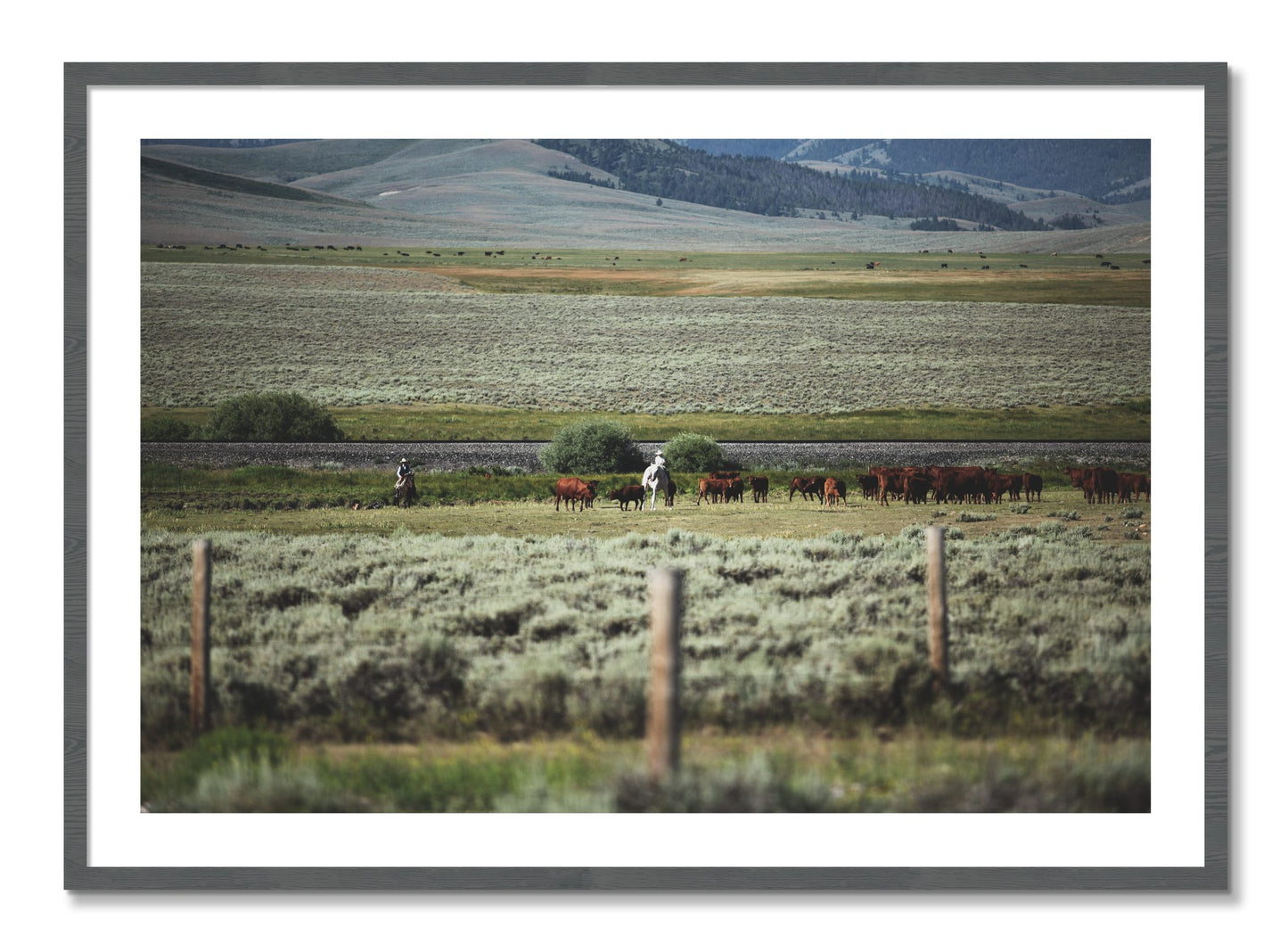Framed photograph of Montana by Dylan Ozanich, Grey frame, Borders