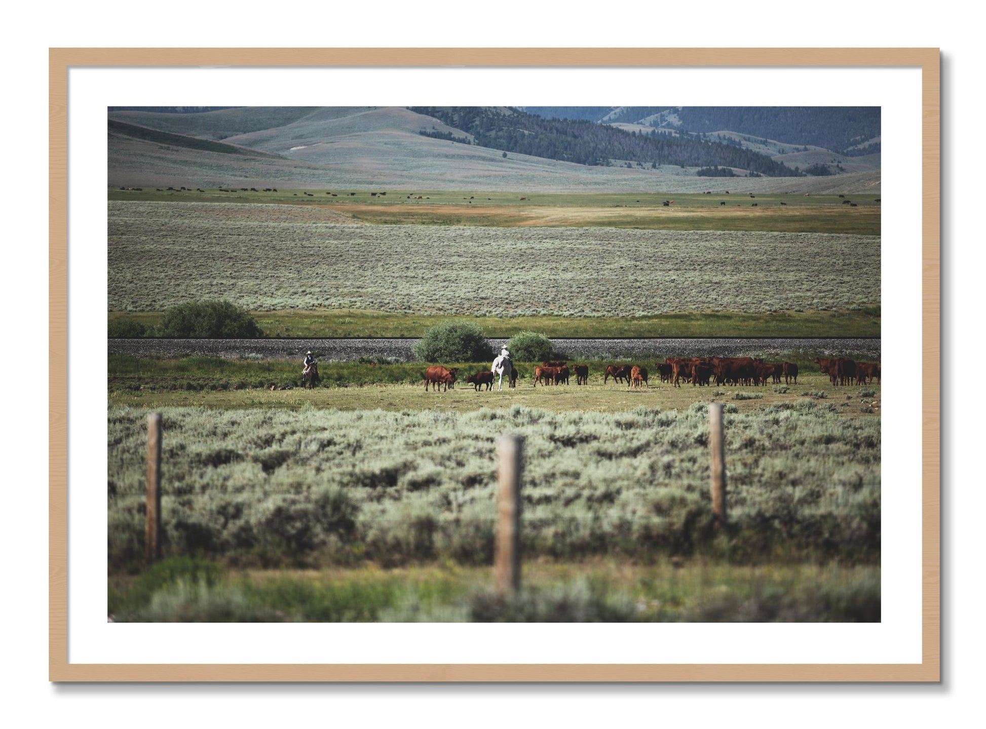Framed photograph of Montana by Dylan Ozanich, Oak frame, Borders